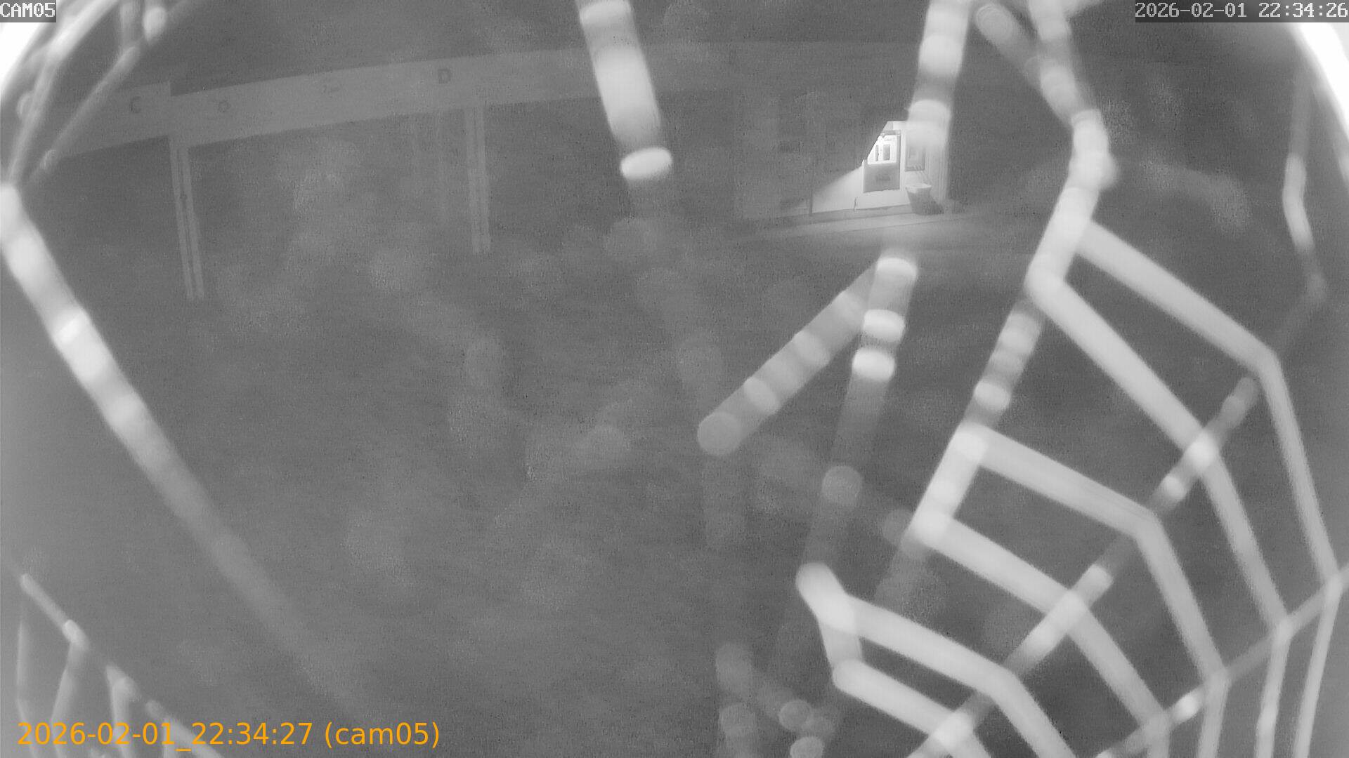 thumbnail_20260201223427