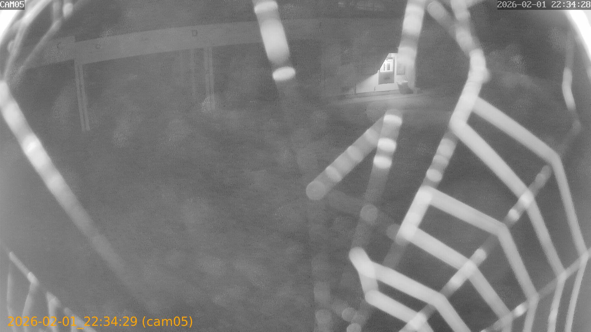 thumbnail_20260201223429