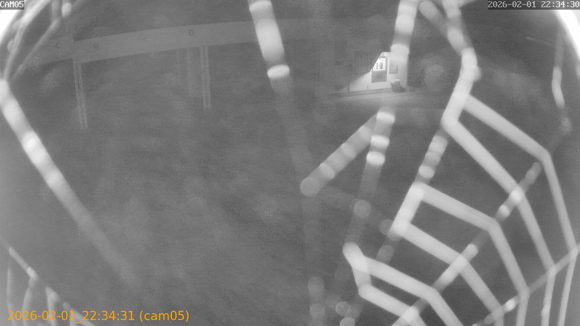 thumbnail_20260201223431