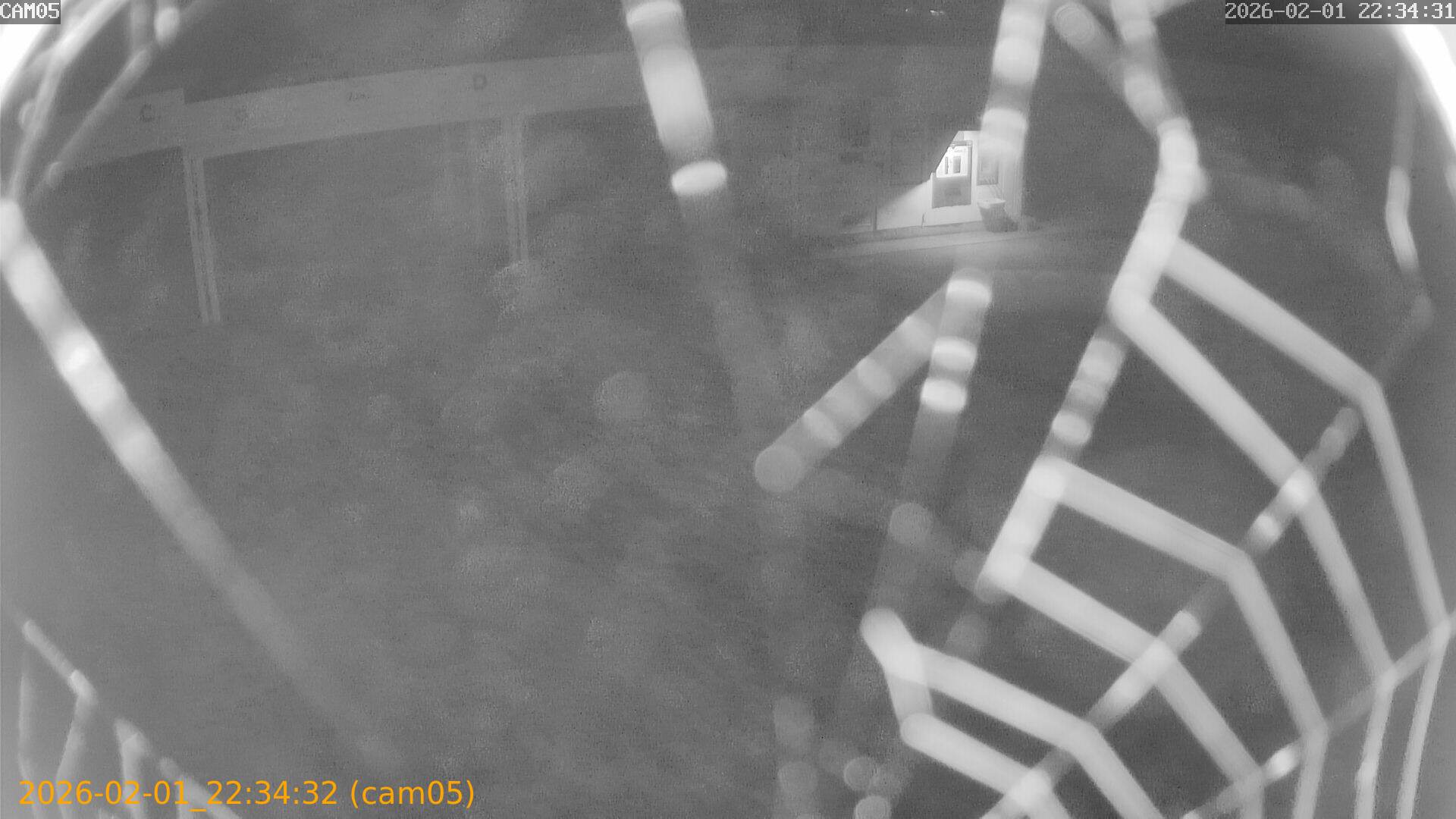 thumbnail_20260201223432