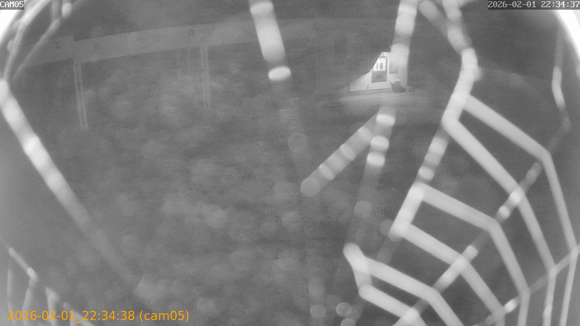 thumbnail_20260201223438