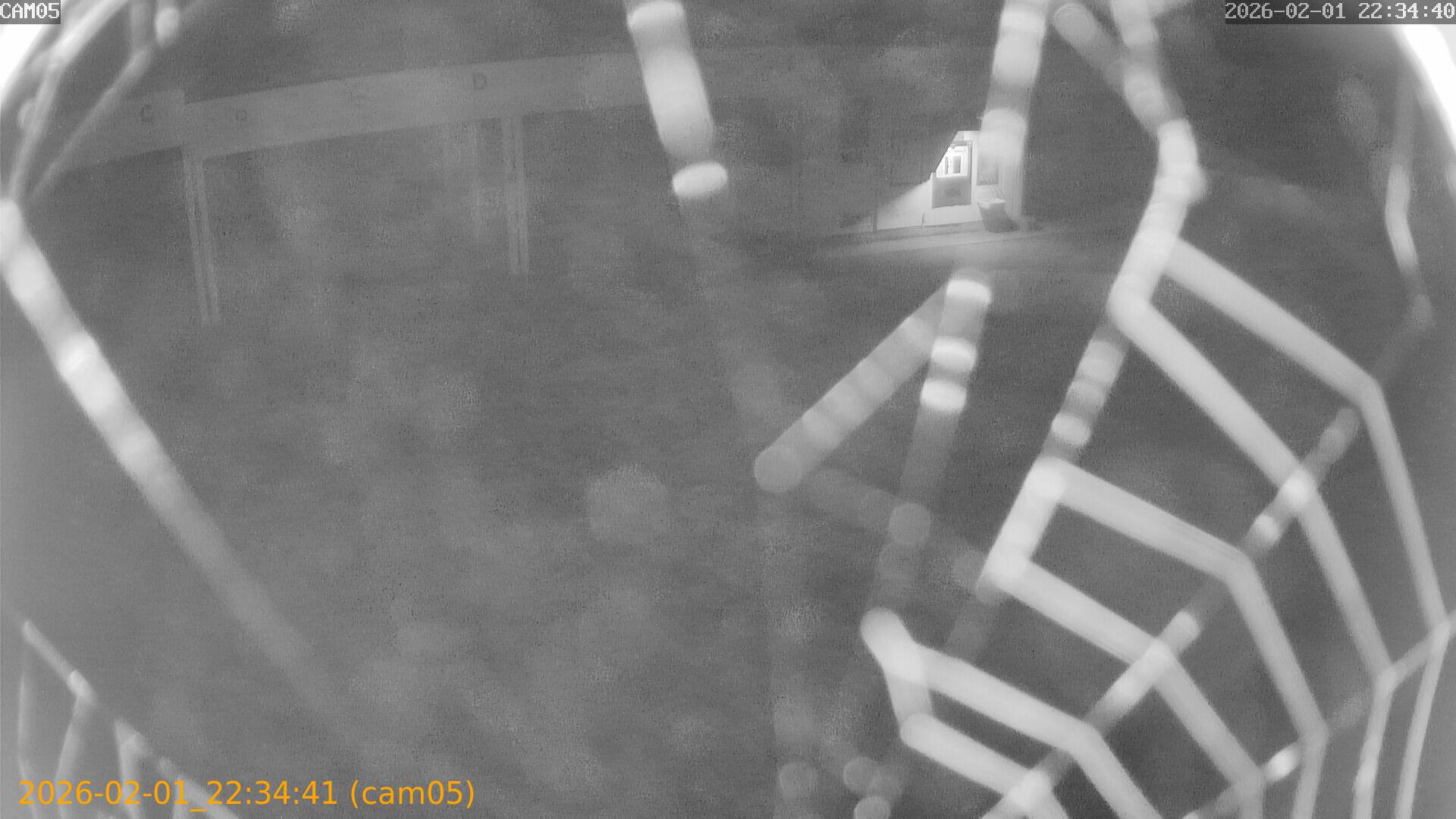 thumbnail_20260201223441