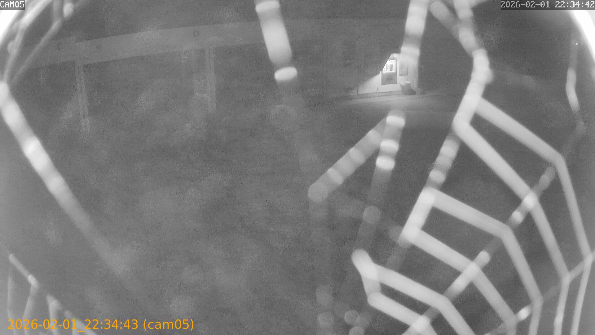 thumbnail_20260201223443