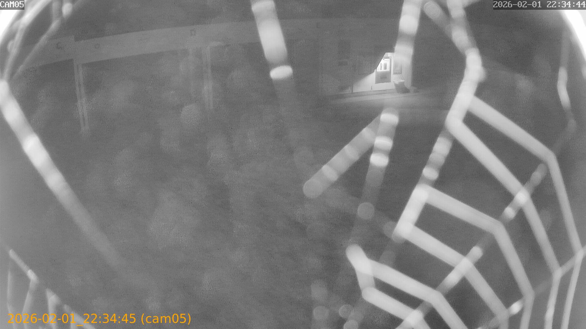 thumbnail_20260201223445