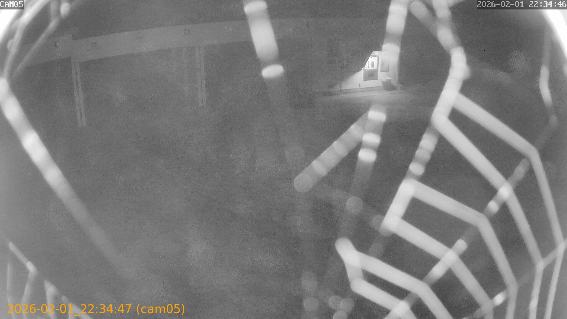 thumbnail_20260201223447