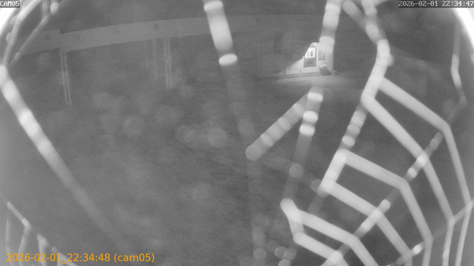 thumbnail_20260201223448