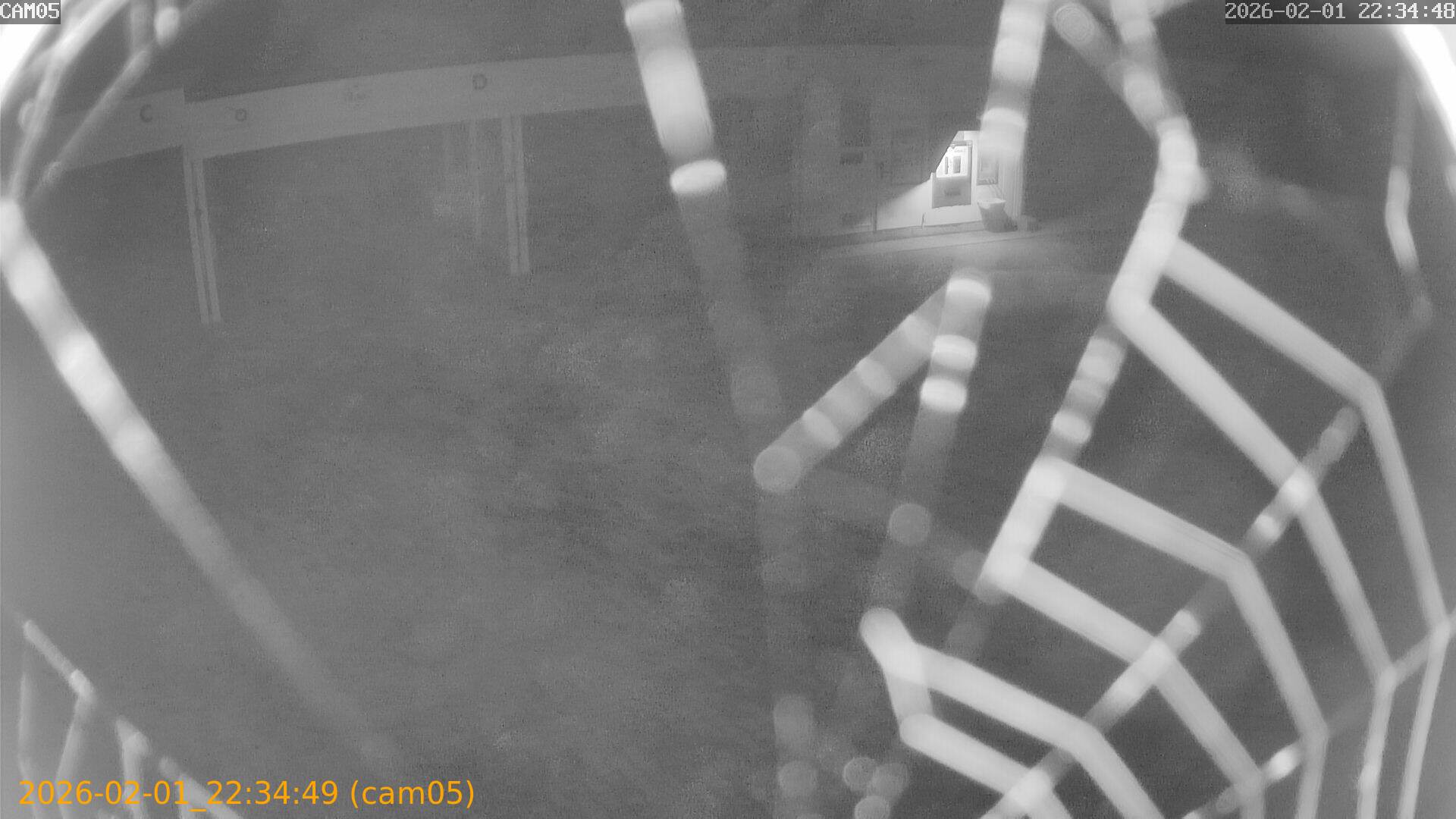 thumbnail_20260201223449