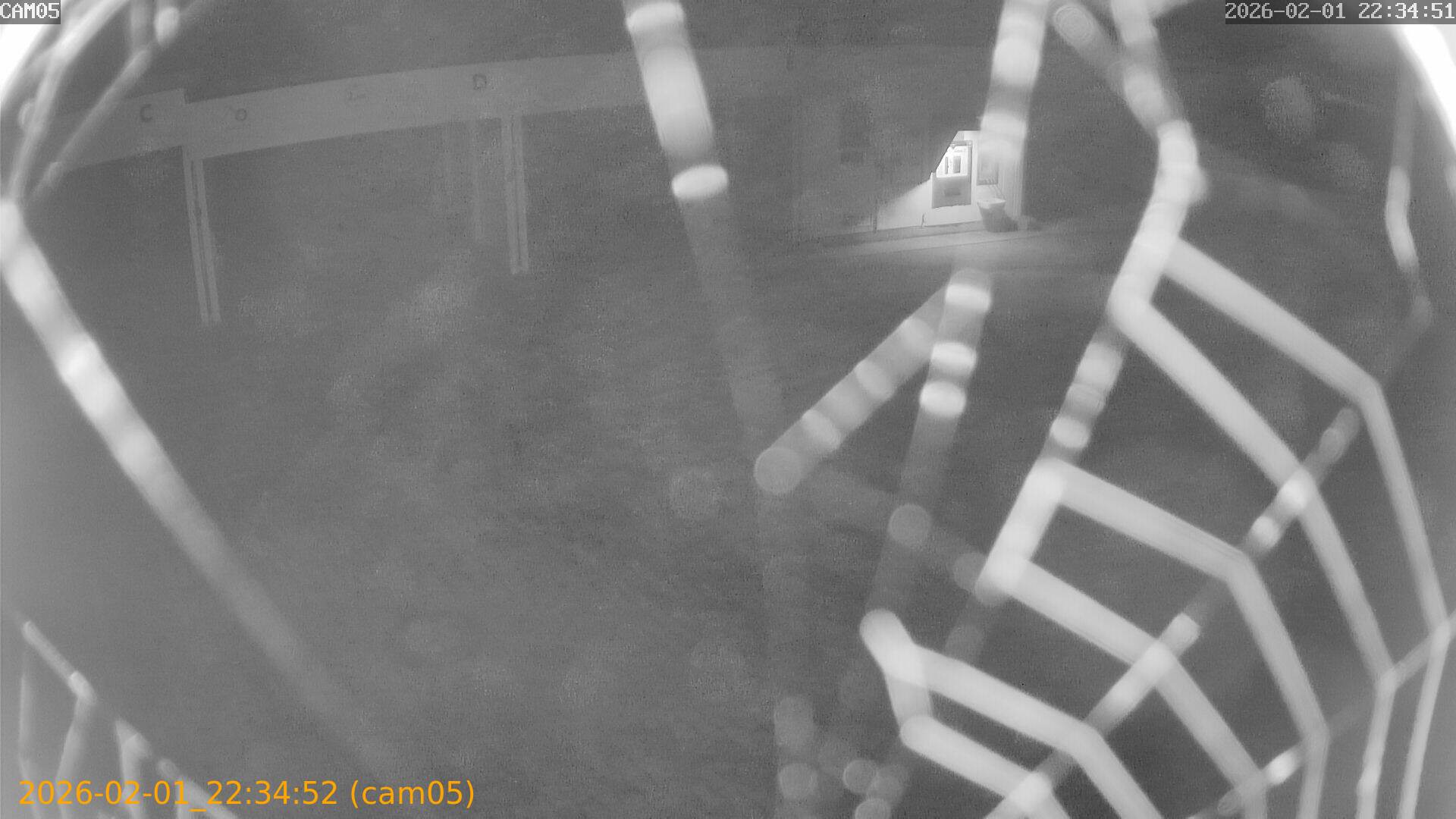 thumbnail_20260201223452