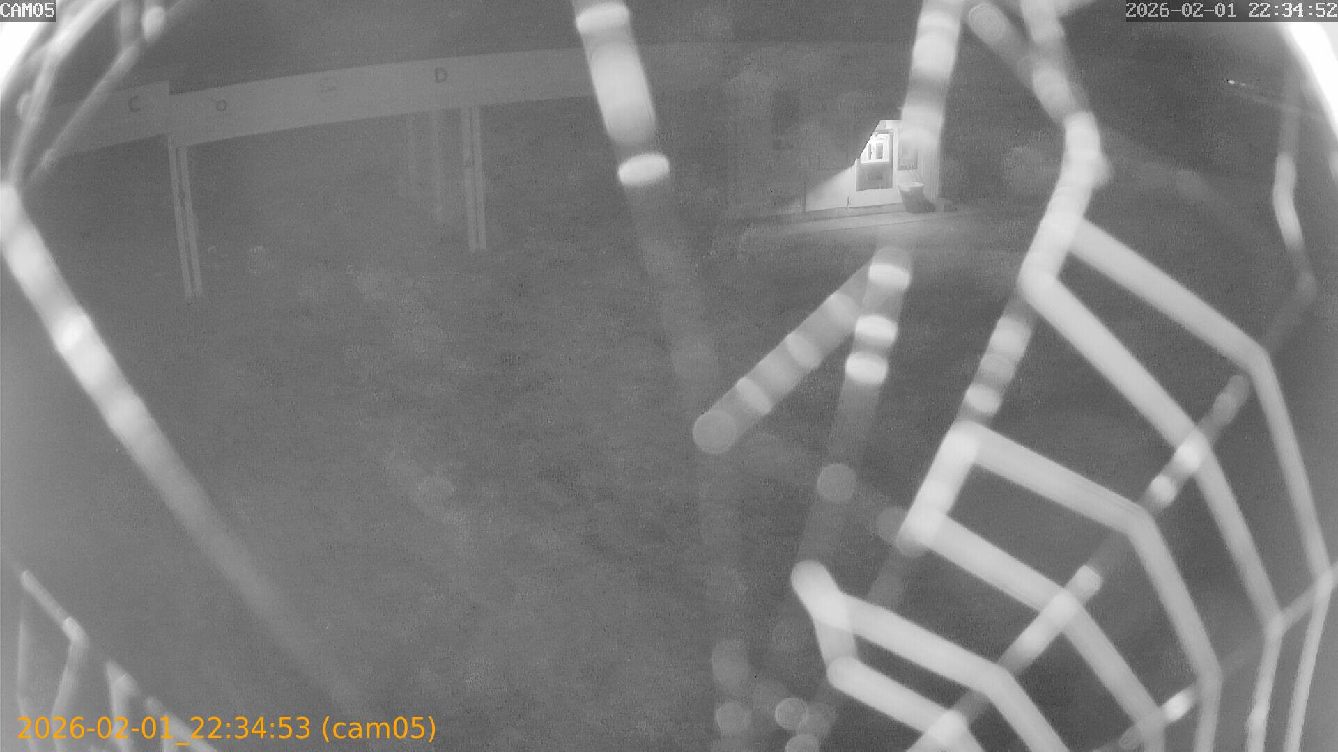 thumbnail_20260201223453