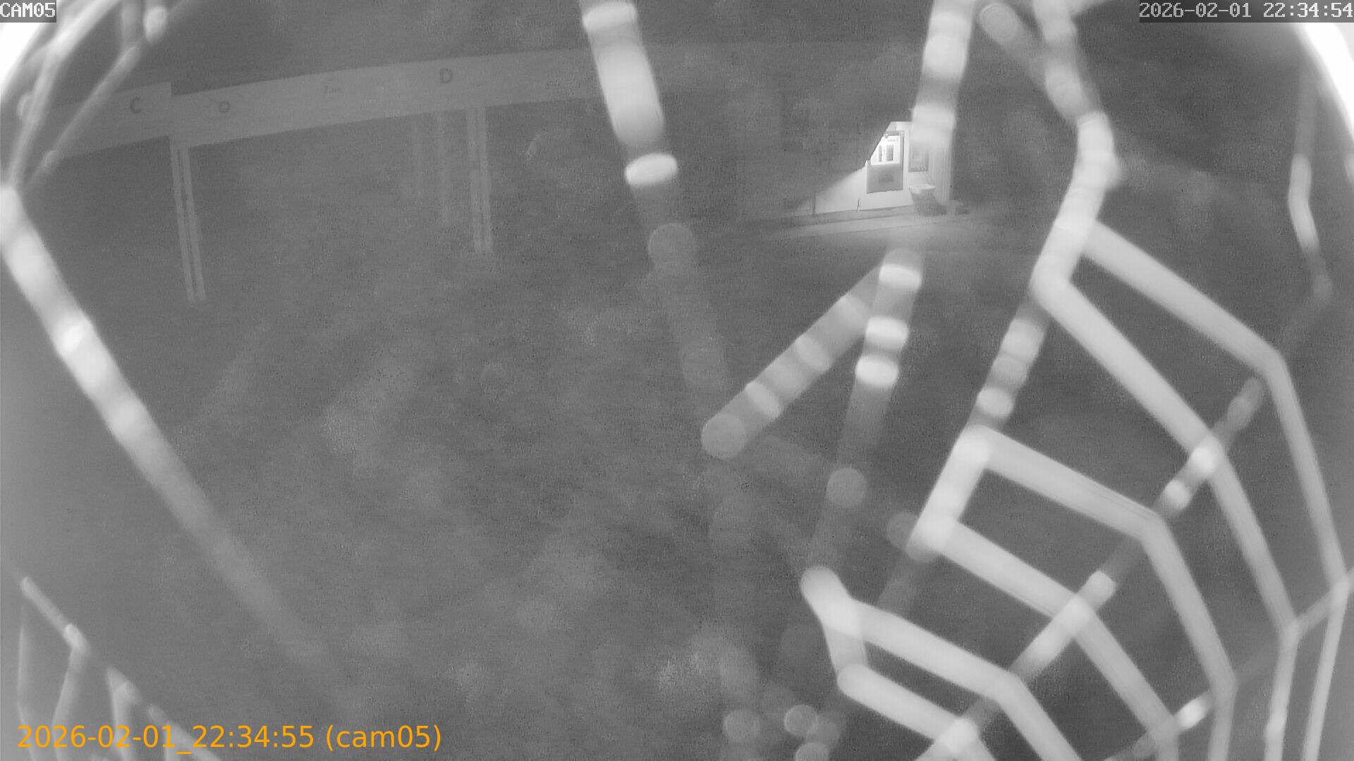 thumbnail_20260201223455