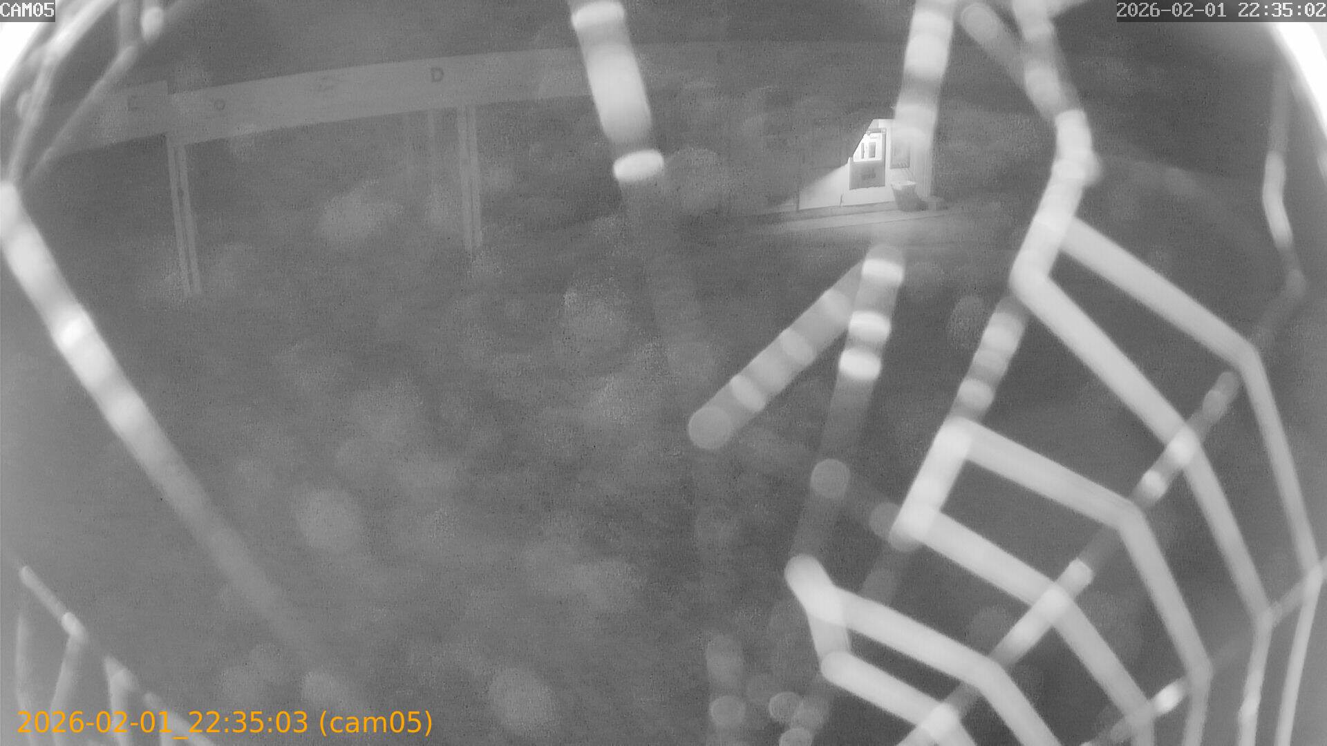 thumbnail_20260201223503