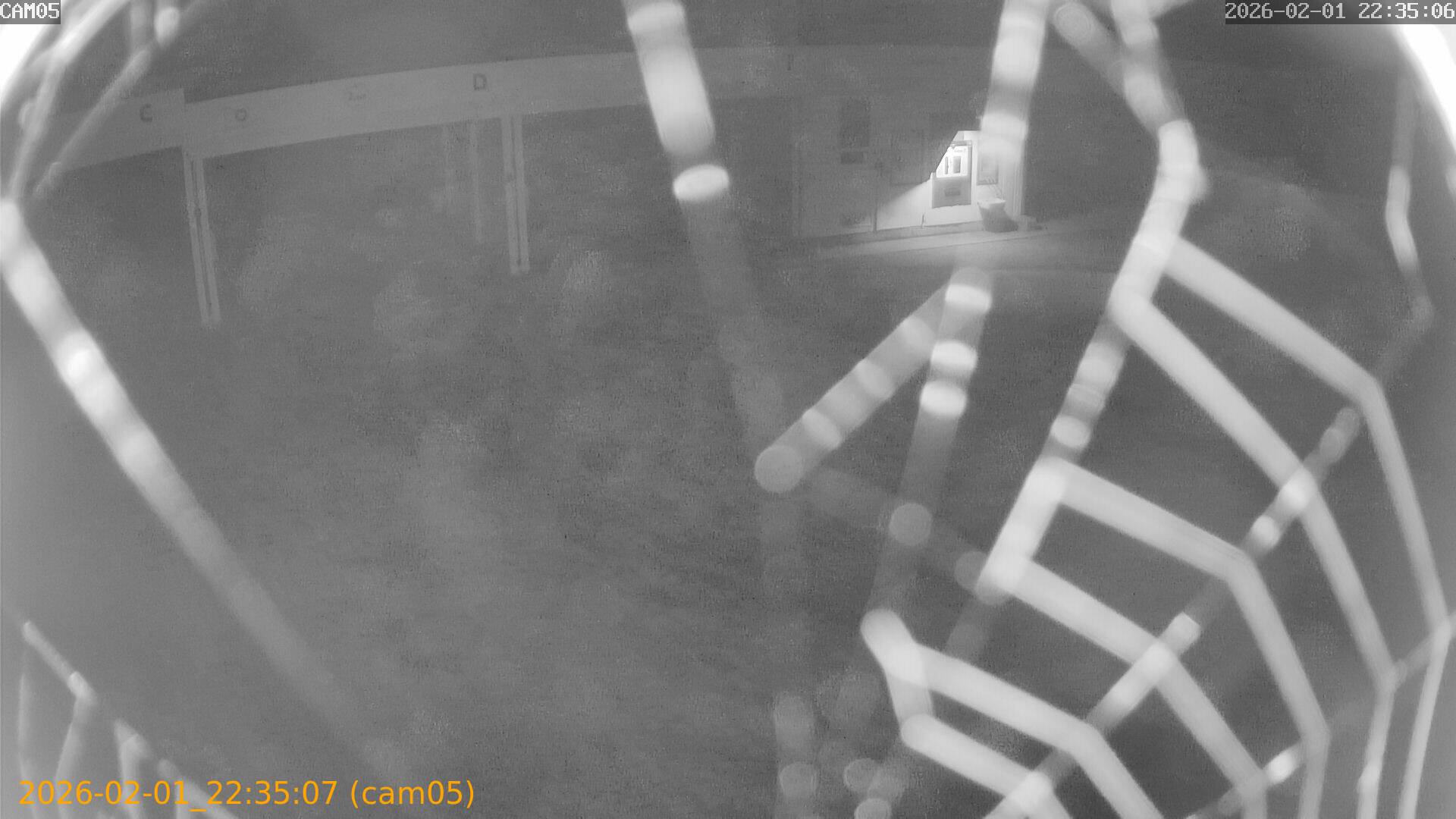 thumbnail_20260201223507