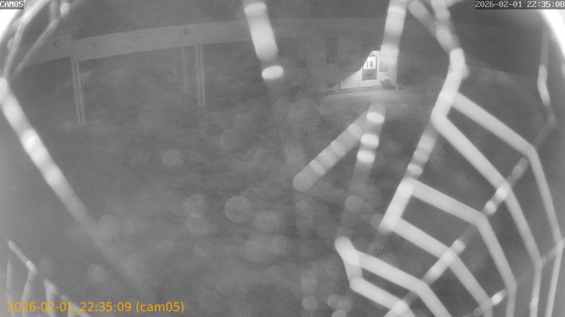 thumbnail_20260201223509