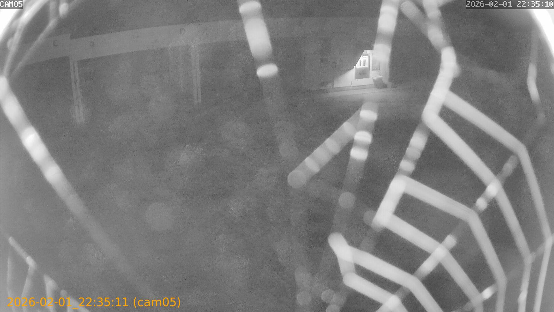 thumbnail_20260201223511