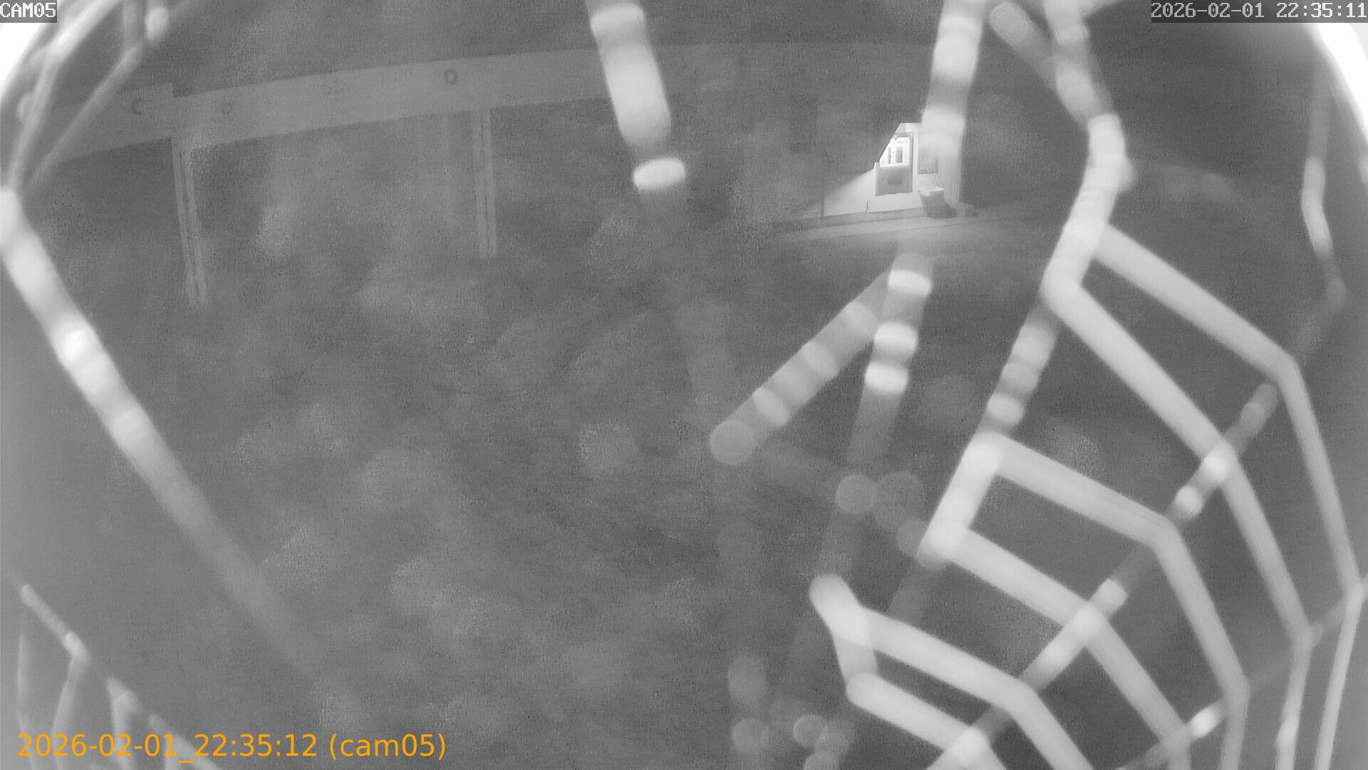 thumbnail_20260201223512