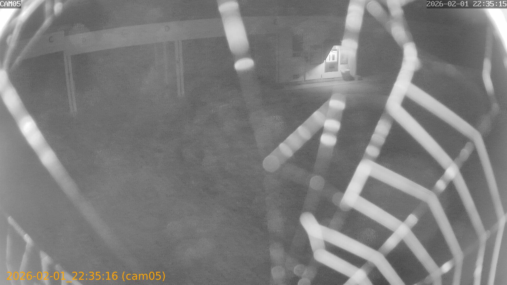 thumbnail_20260201223516