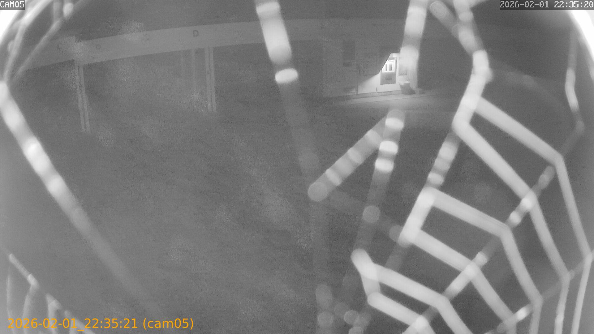 thumbnail_20260201223521