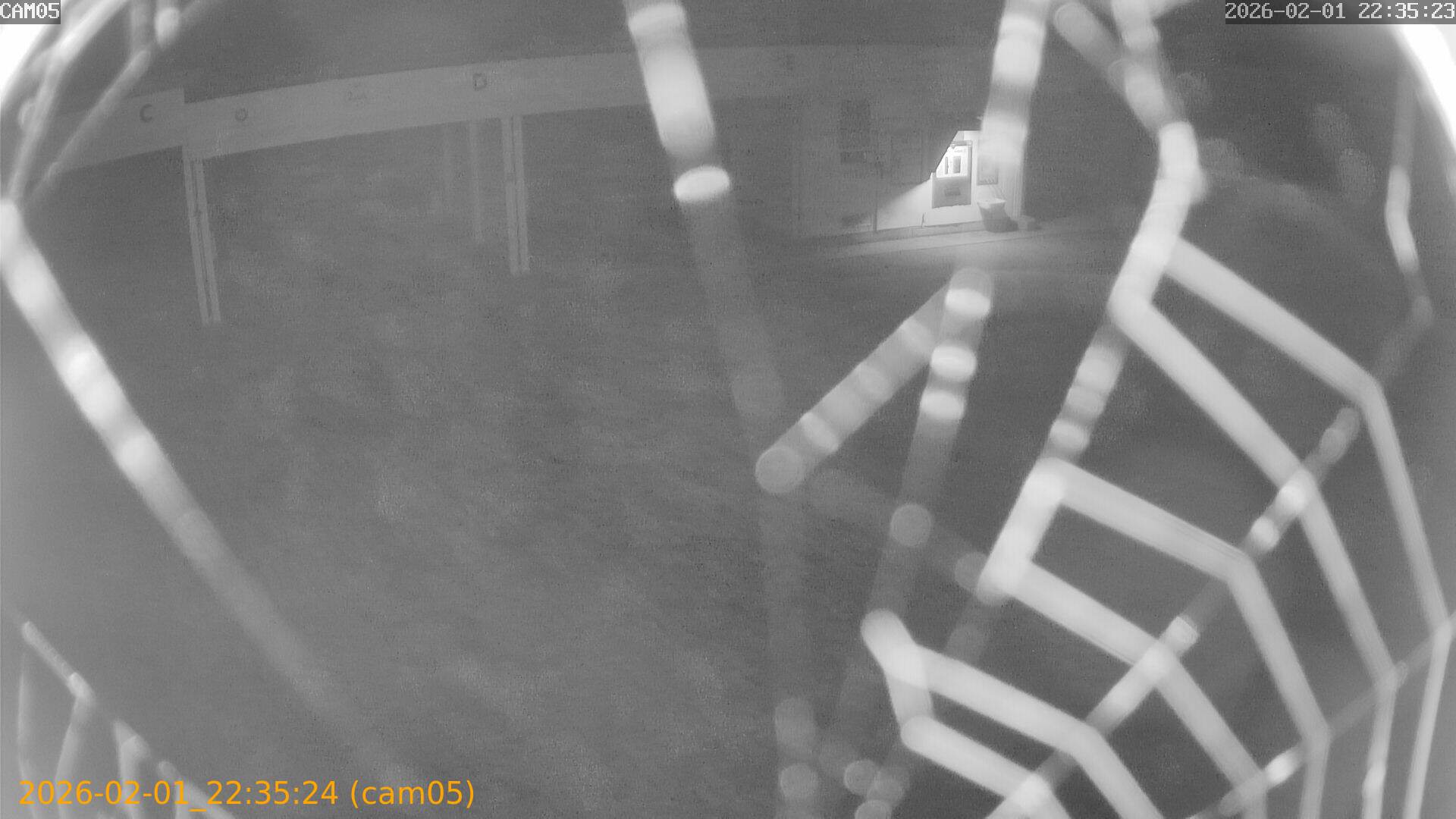 thumbnail_20260201223524