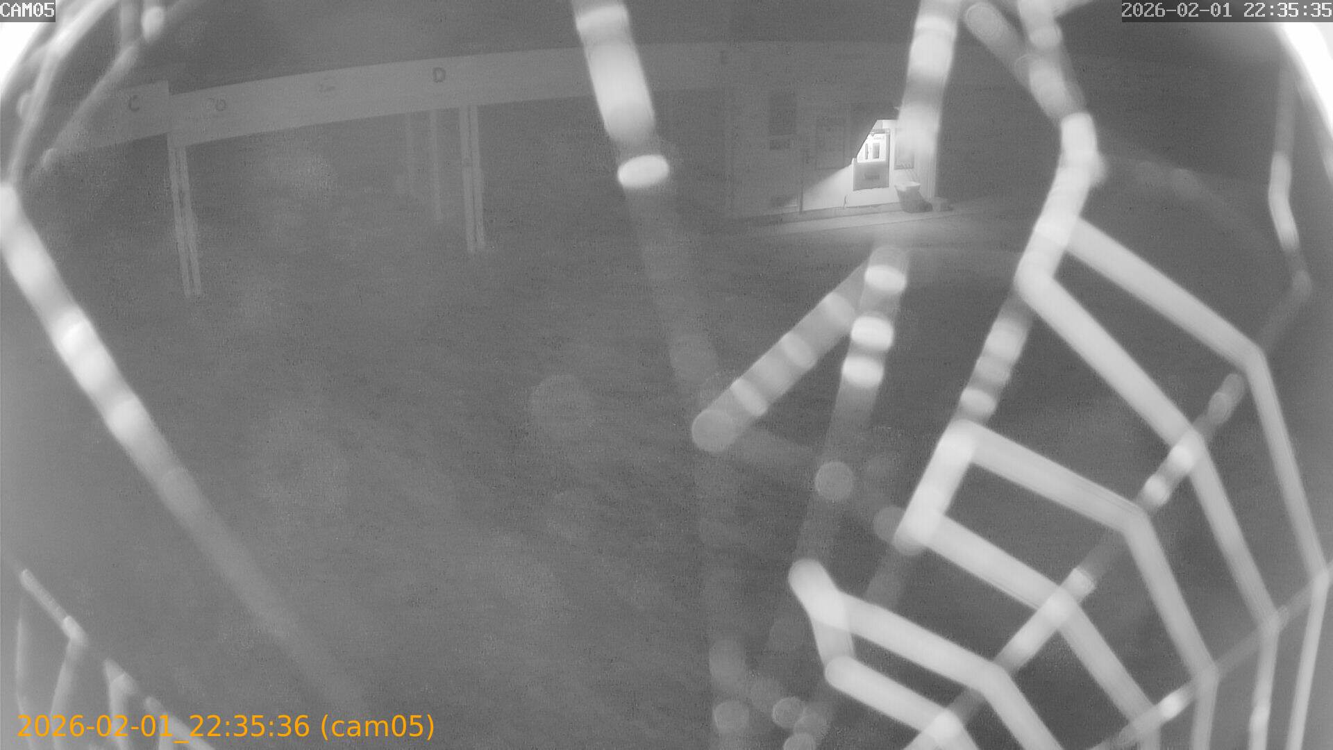 thumbnail_20260201223536