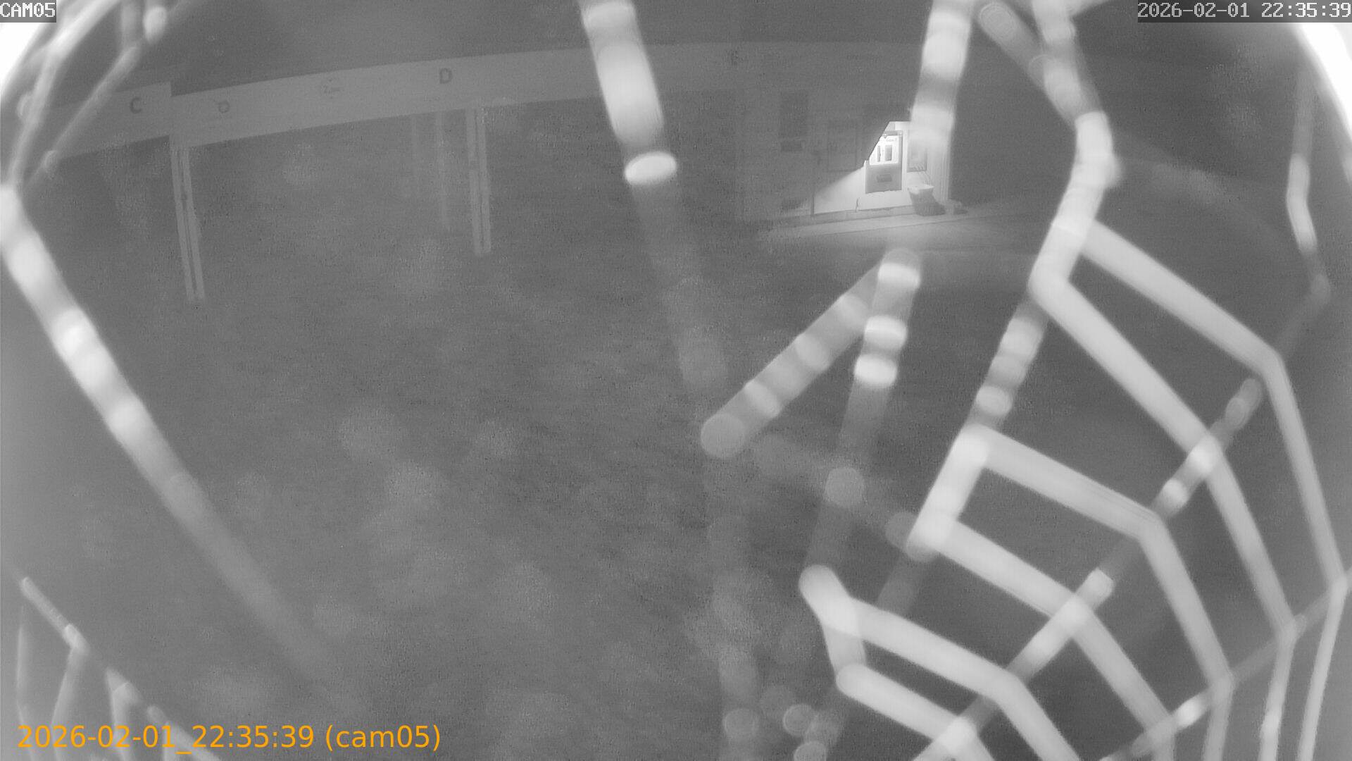 thumbnail_20260201223539