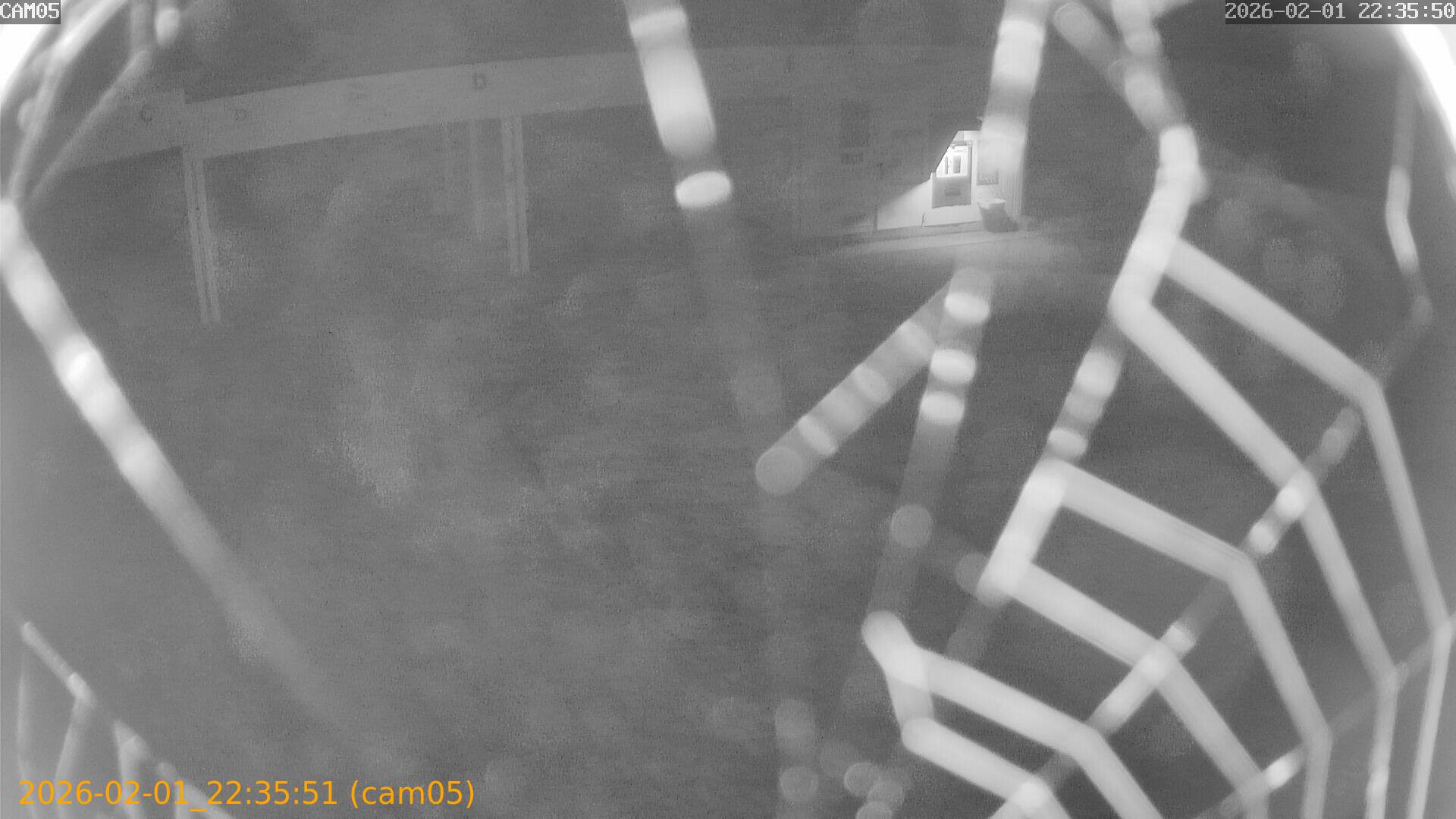 thumbnail_20260201223551