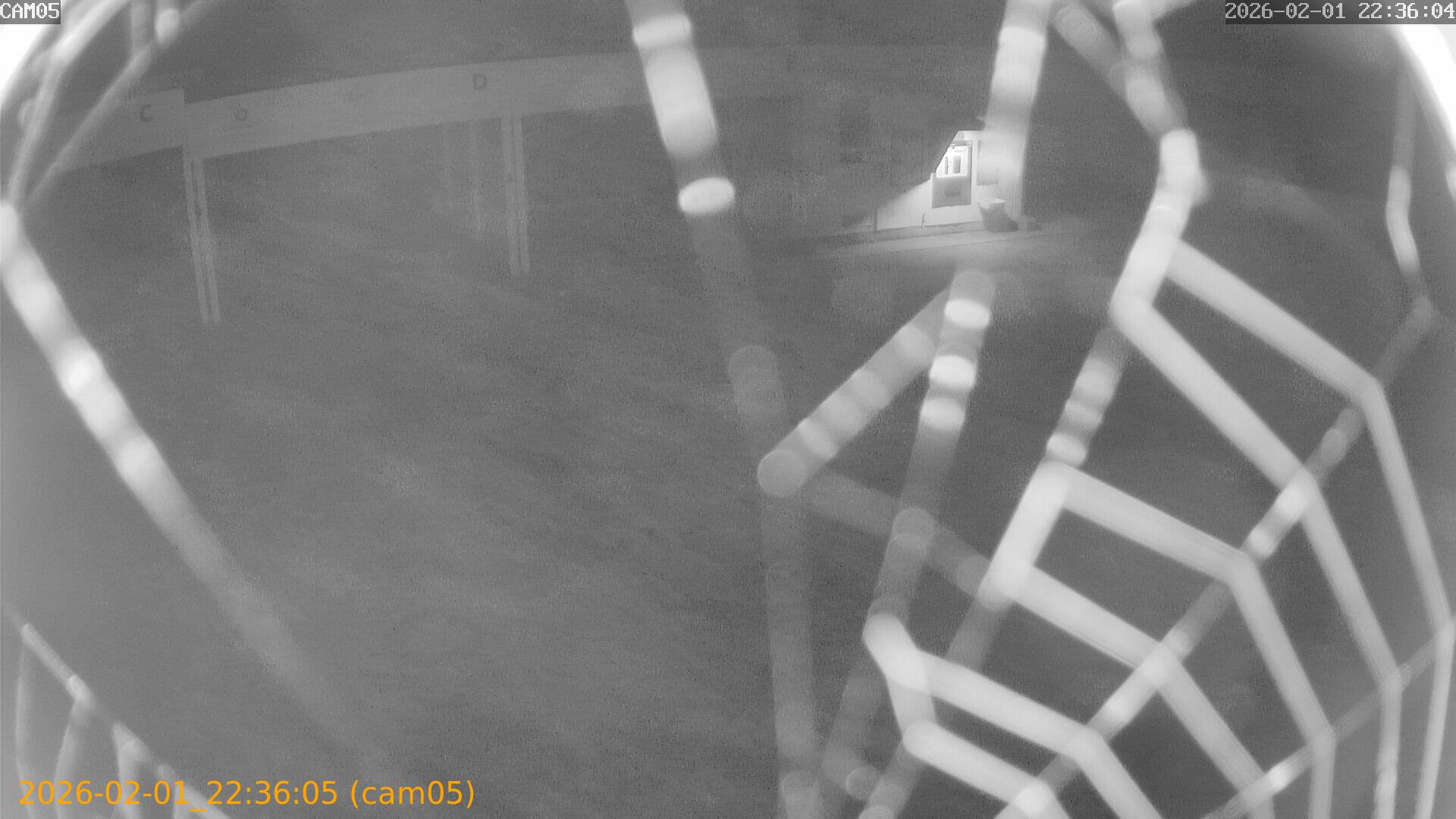 thumbnail_20260201223605