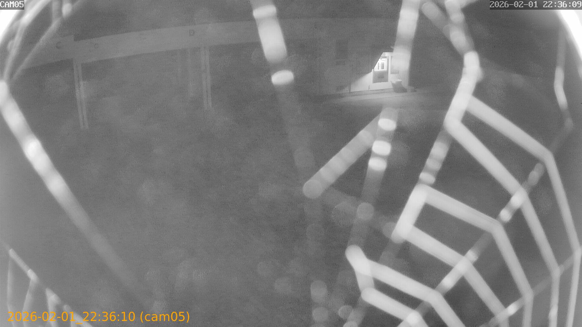 thumbnail_20260201223610