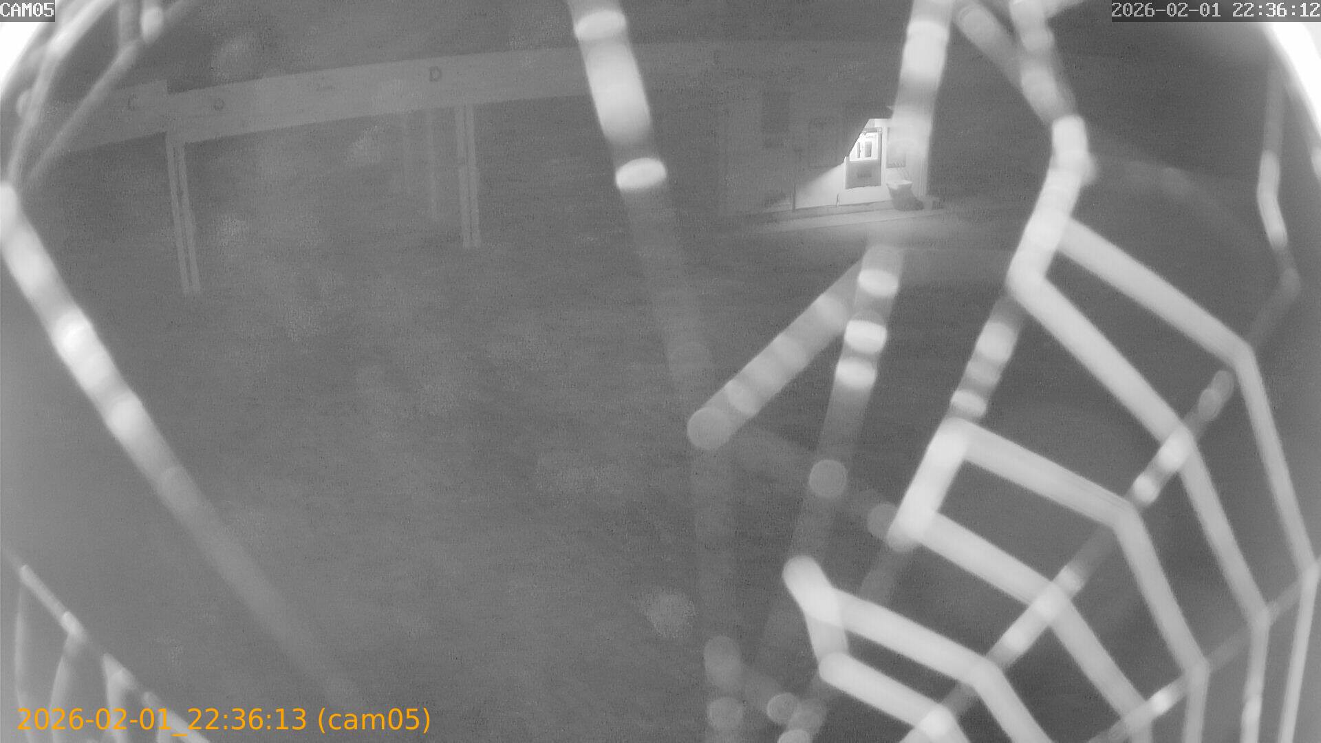 thumbnail_20260201223613