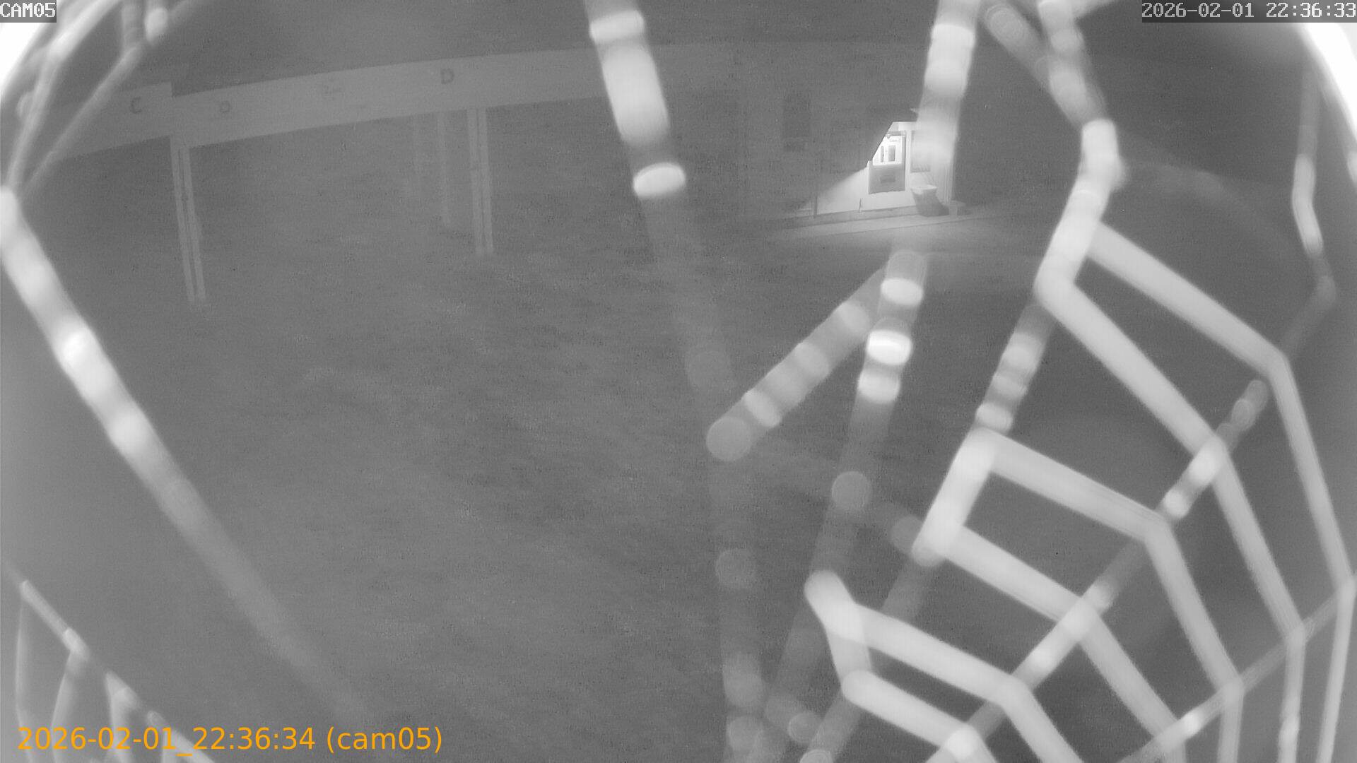 thumbnail_20260201223634