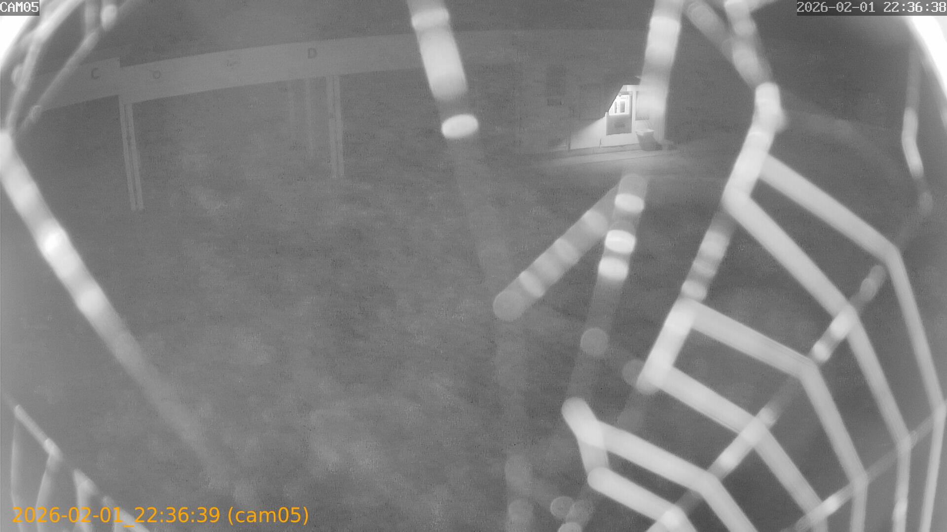 thumbnail_20260201223639