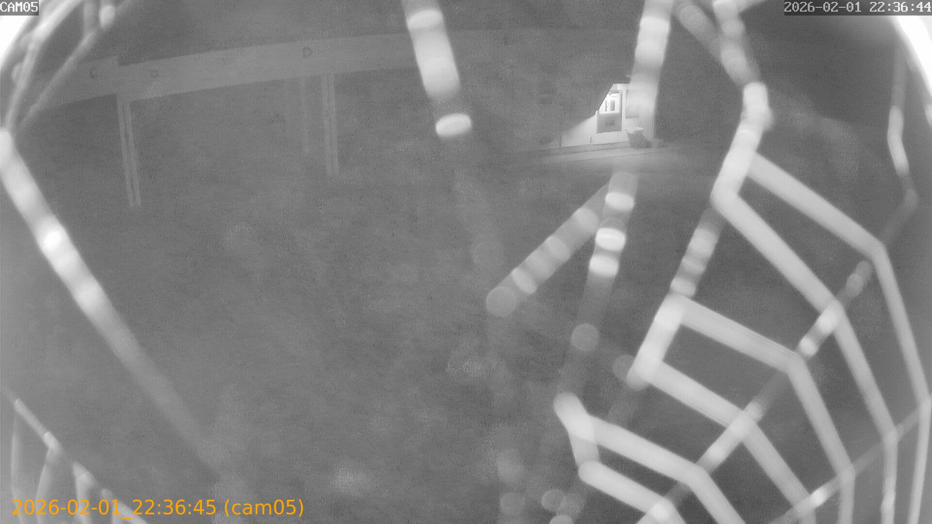 thumbnail_20260201223645