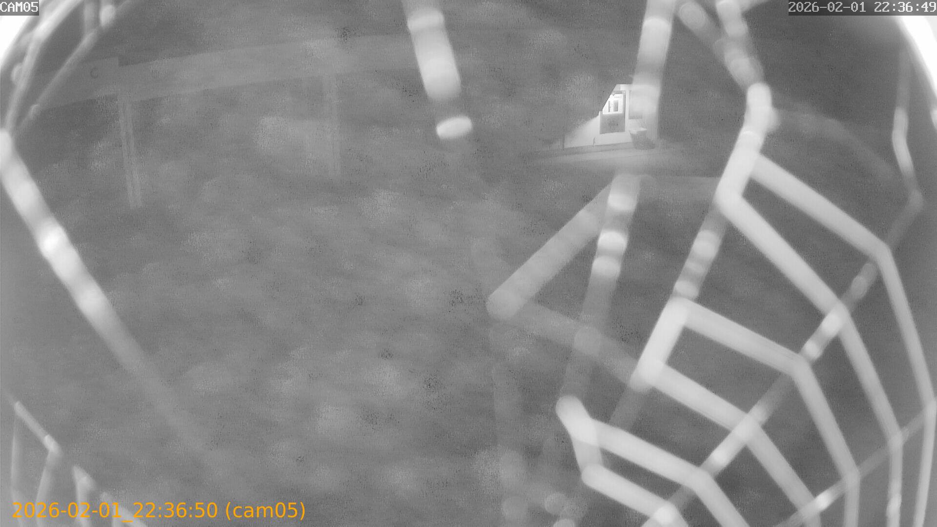 thumbnail_20260201223650