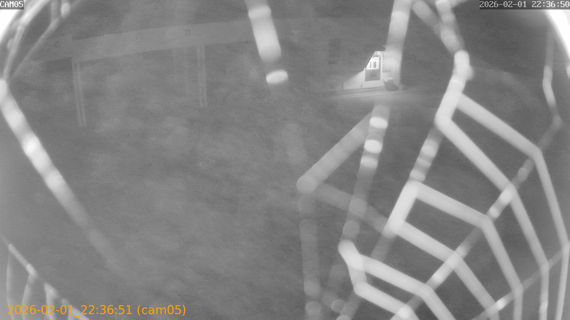 thumbnail_20260201223651