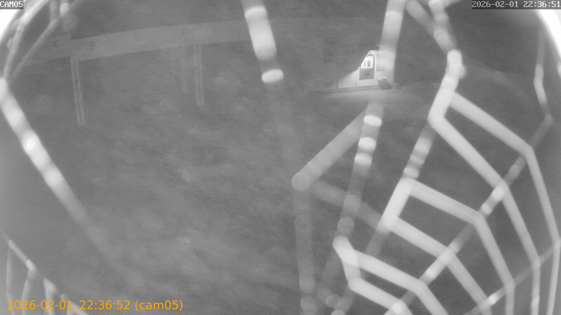 thumbnail_20260201223652