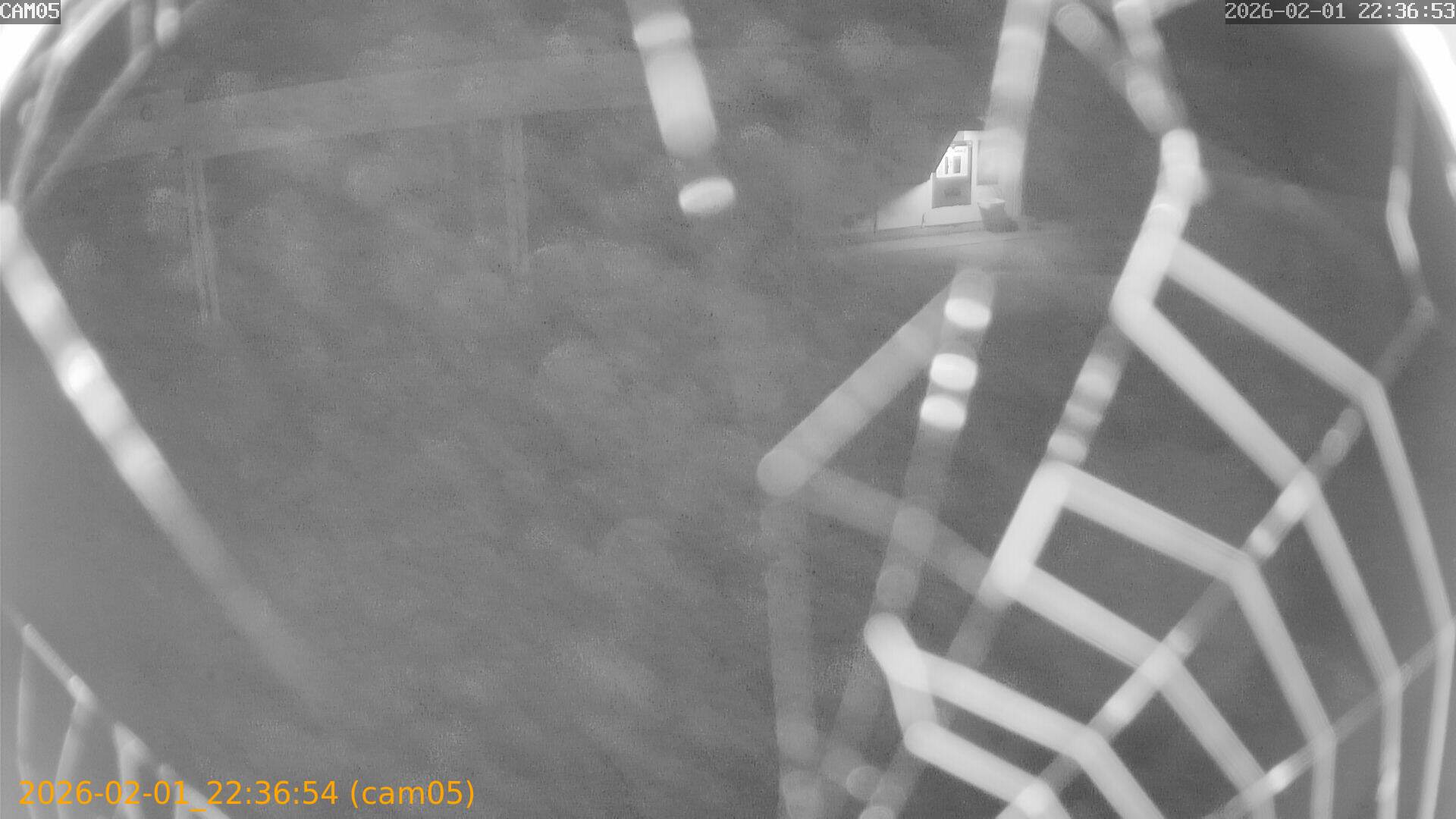 thumbnail_20260201223654