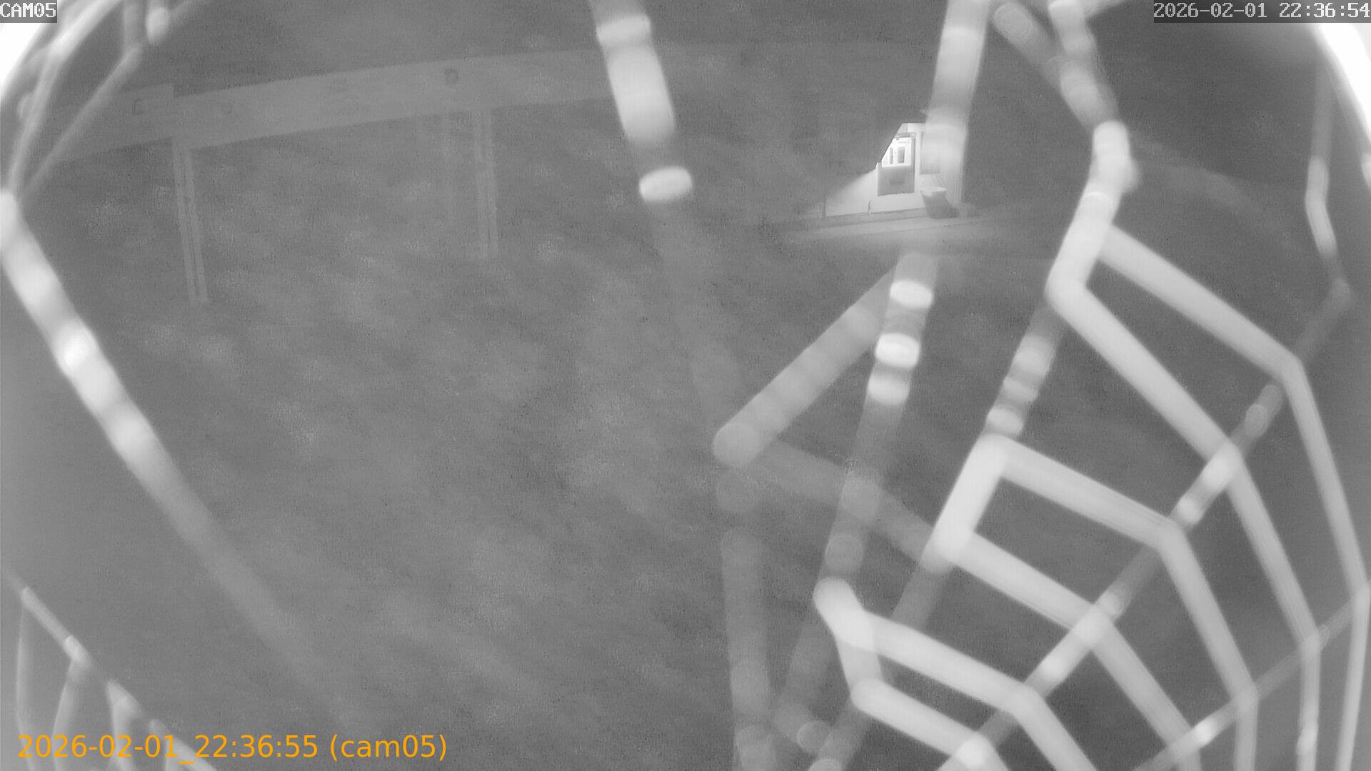 thumbnail_20260201223655