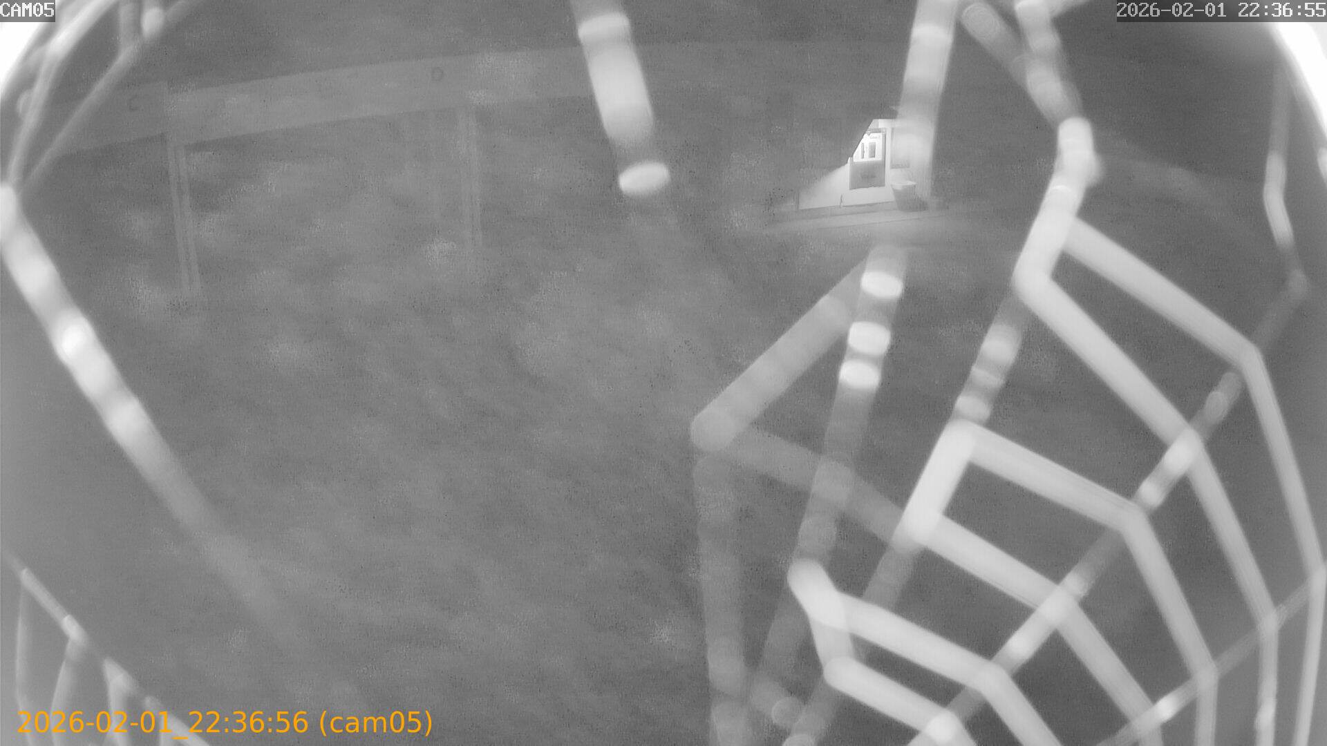 thumbnail_20260201223656