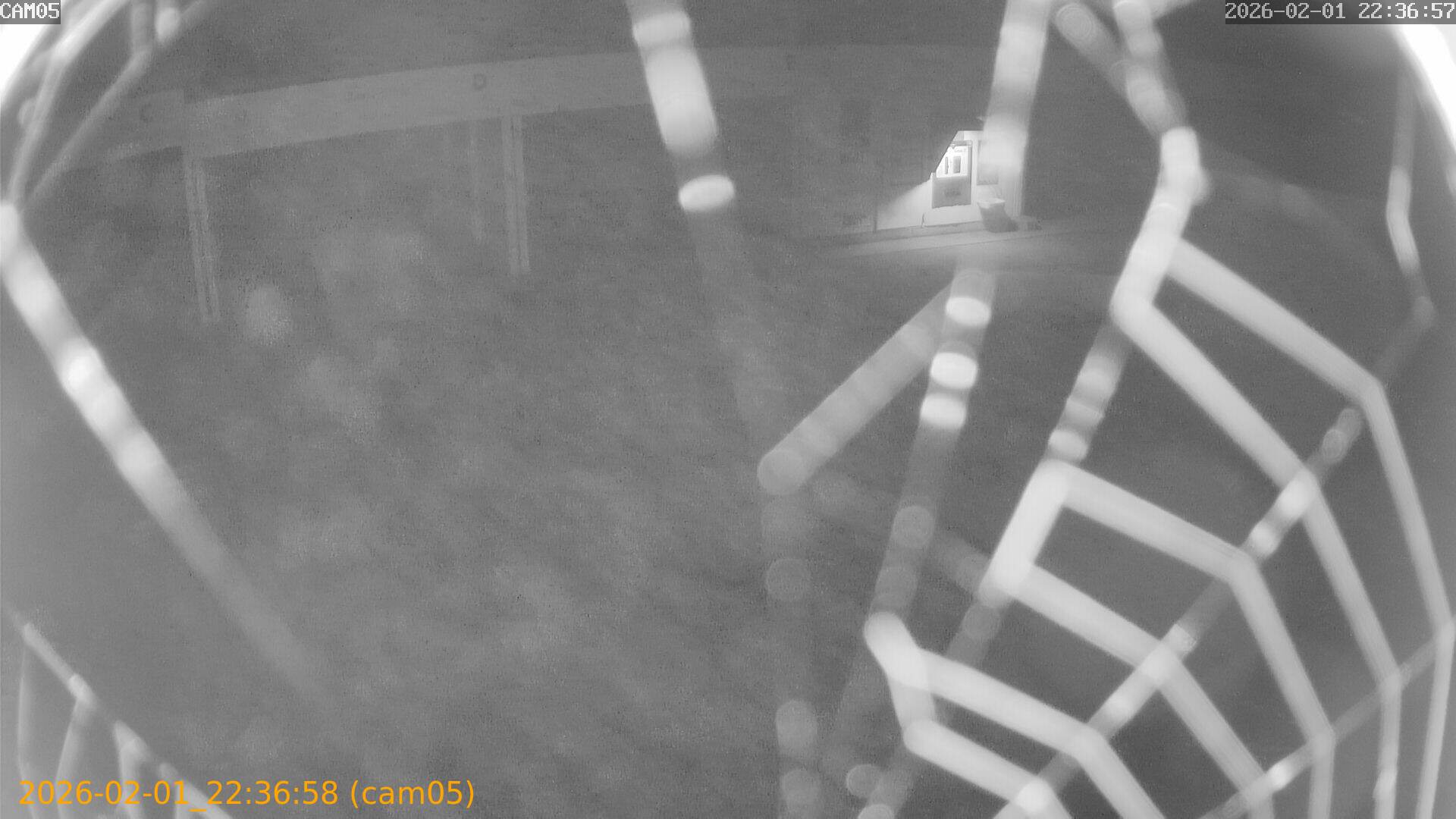 thumbnail_20260201223658