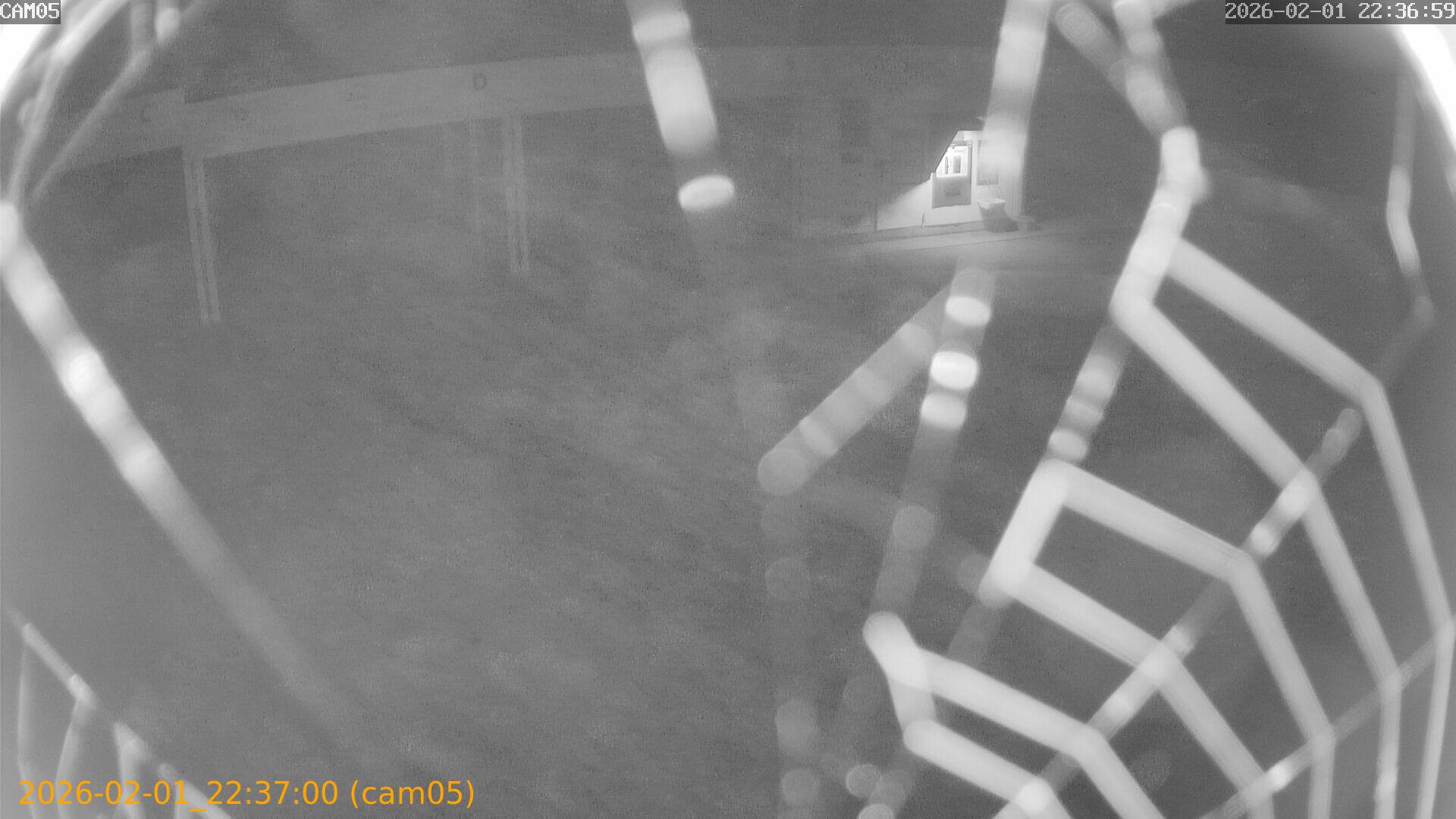 thumbnail_20260201223700