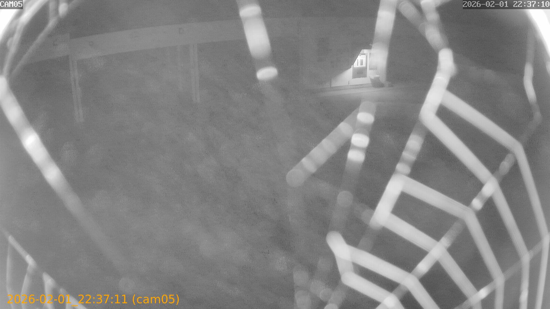 thumbnail_20260201223711