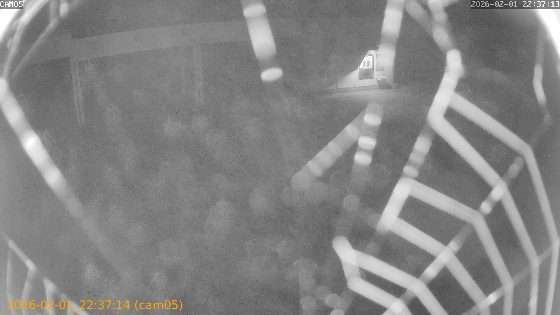 thumbnail_20260201223714