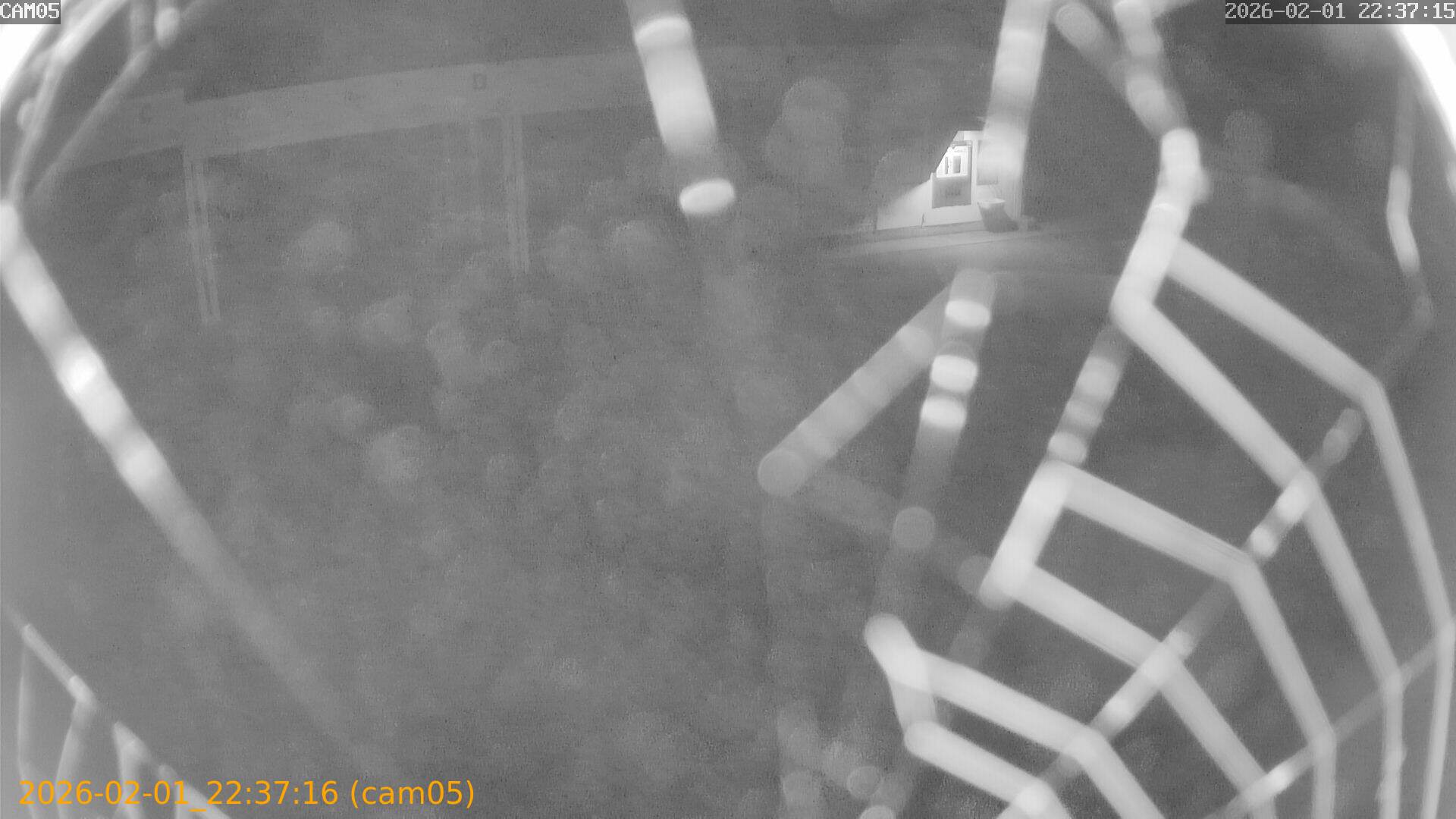 thumbnail_20260201223716