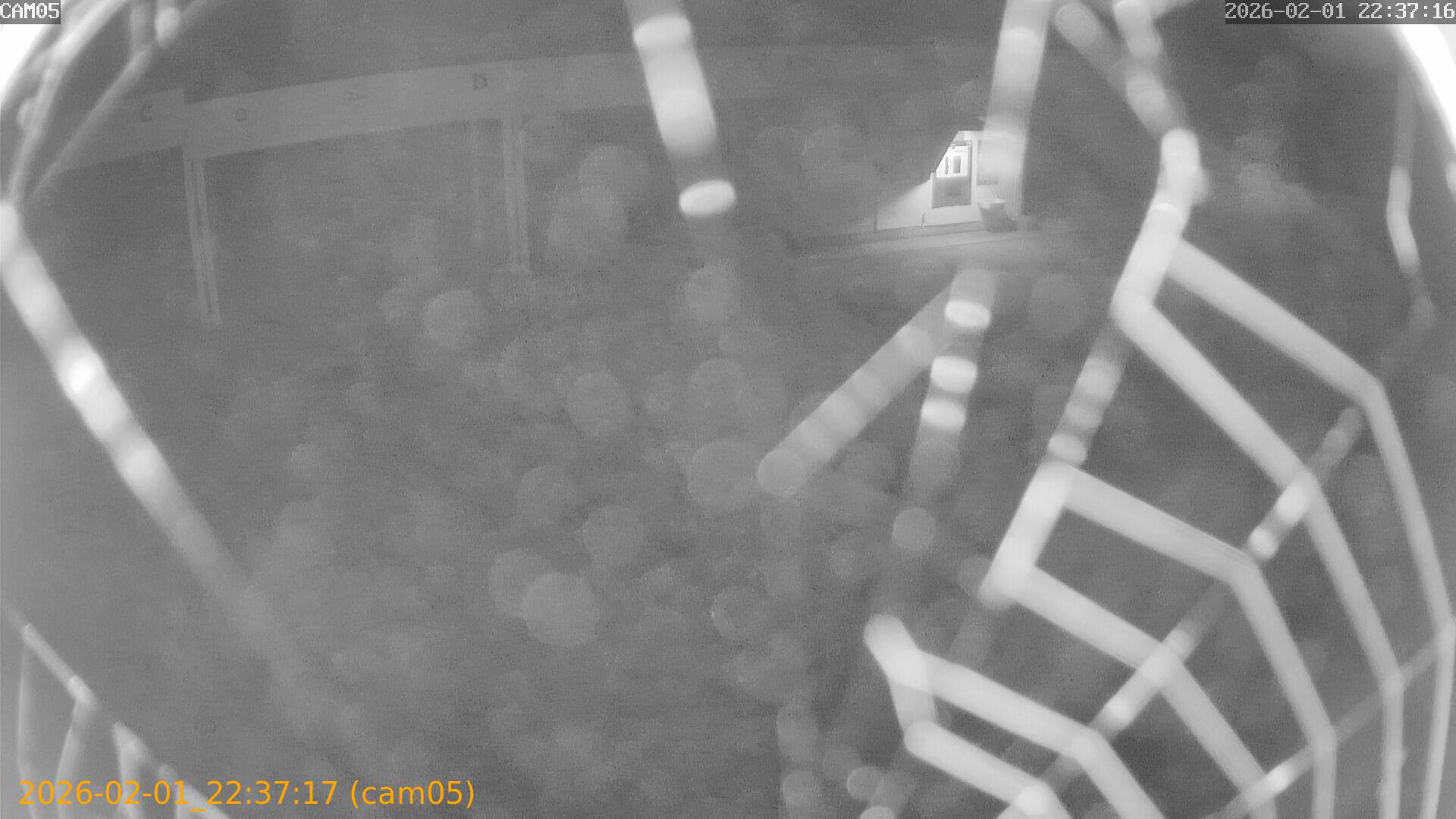 thumbnail_20260201223717