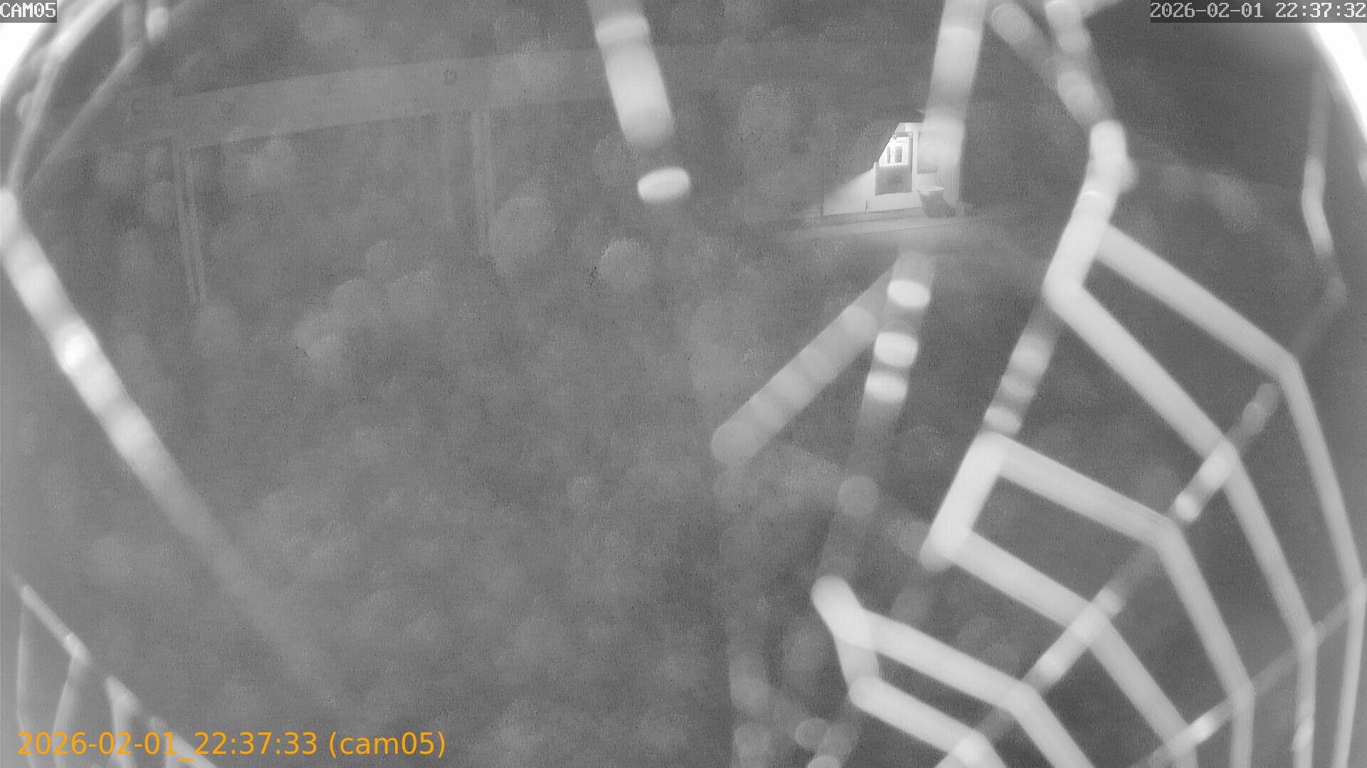 thumbnail_20260201223733