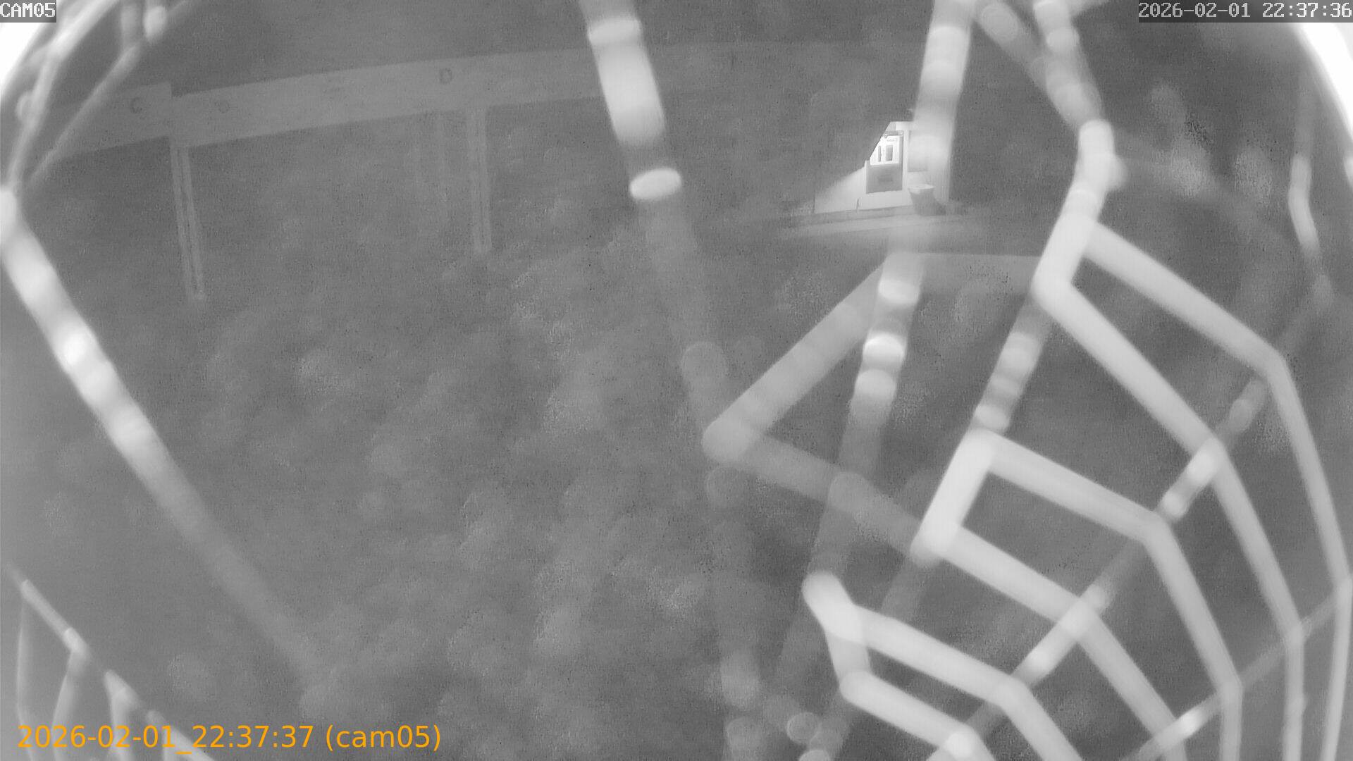 thumbnail_20260201223737