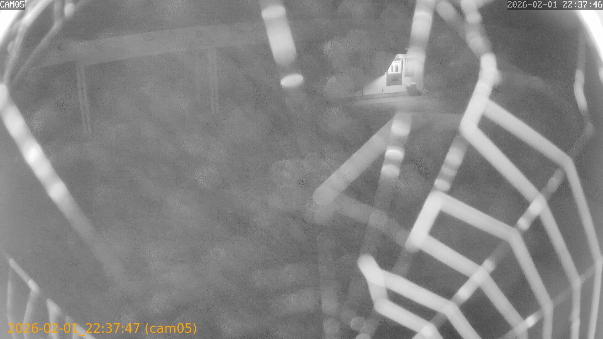 thumbnail_20260201223747