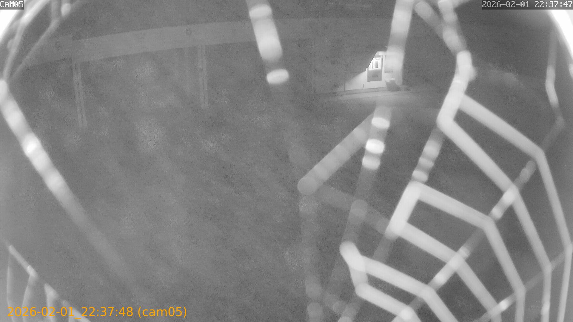 thumbnail_20260201223748