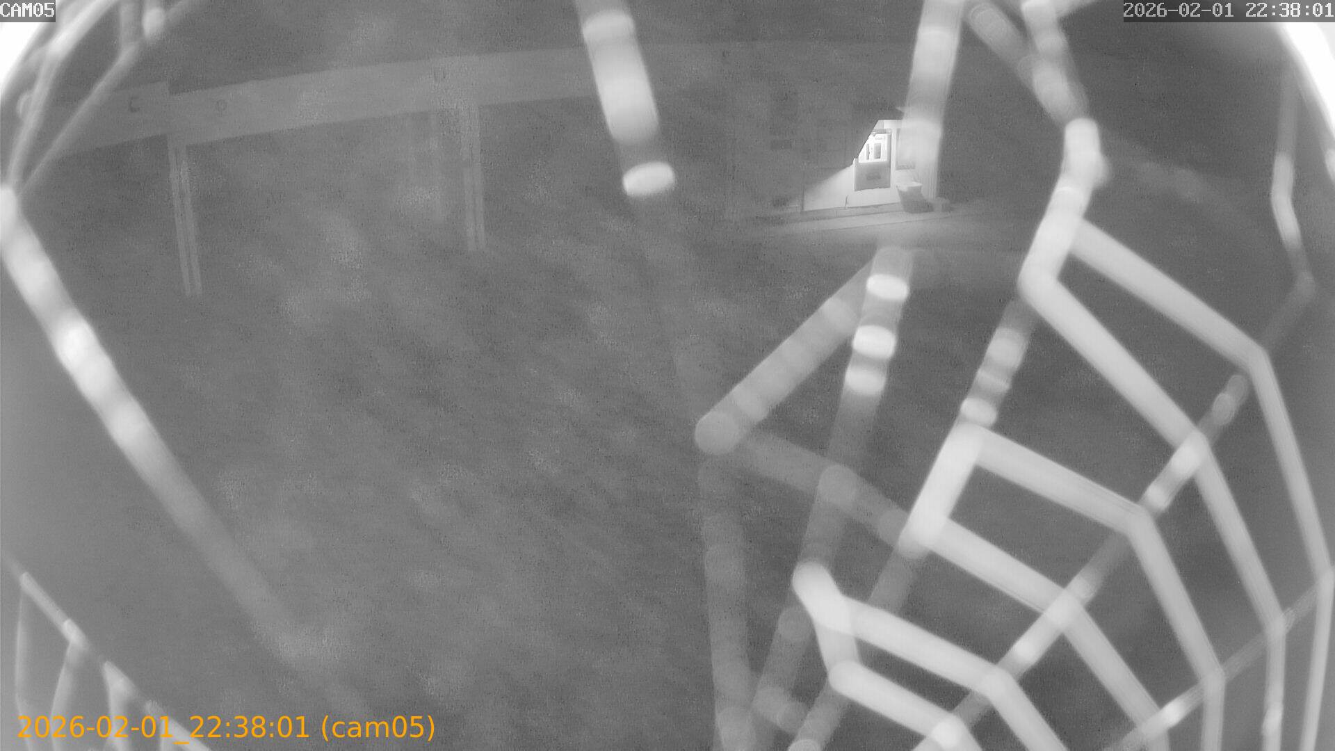 thumbnail_20260201223801