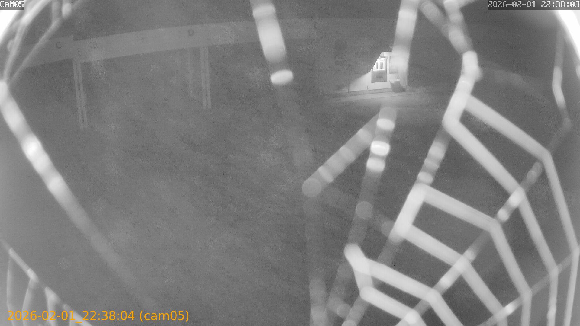 thumbnail_20260201223804