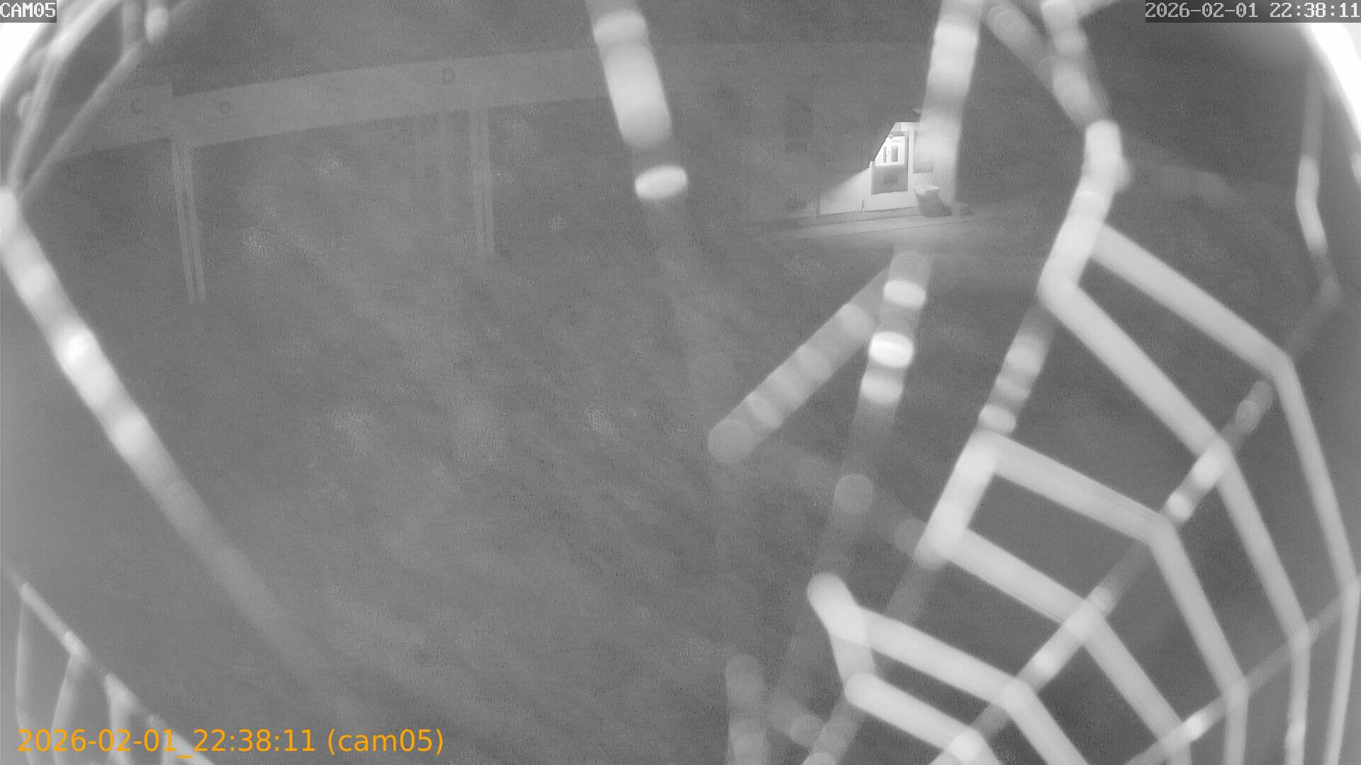 thumbnail_20260201223811